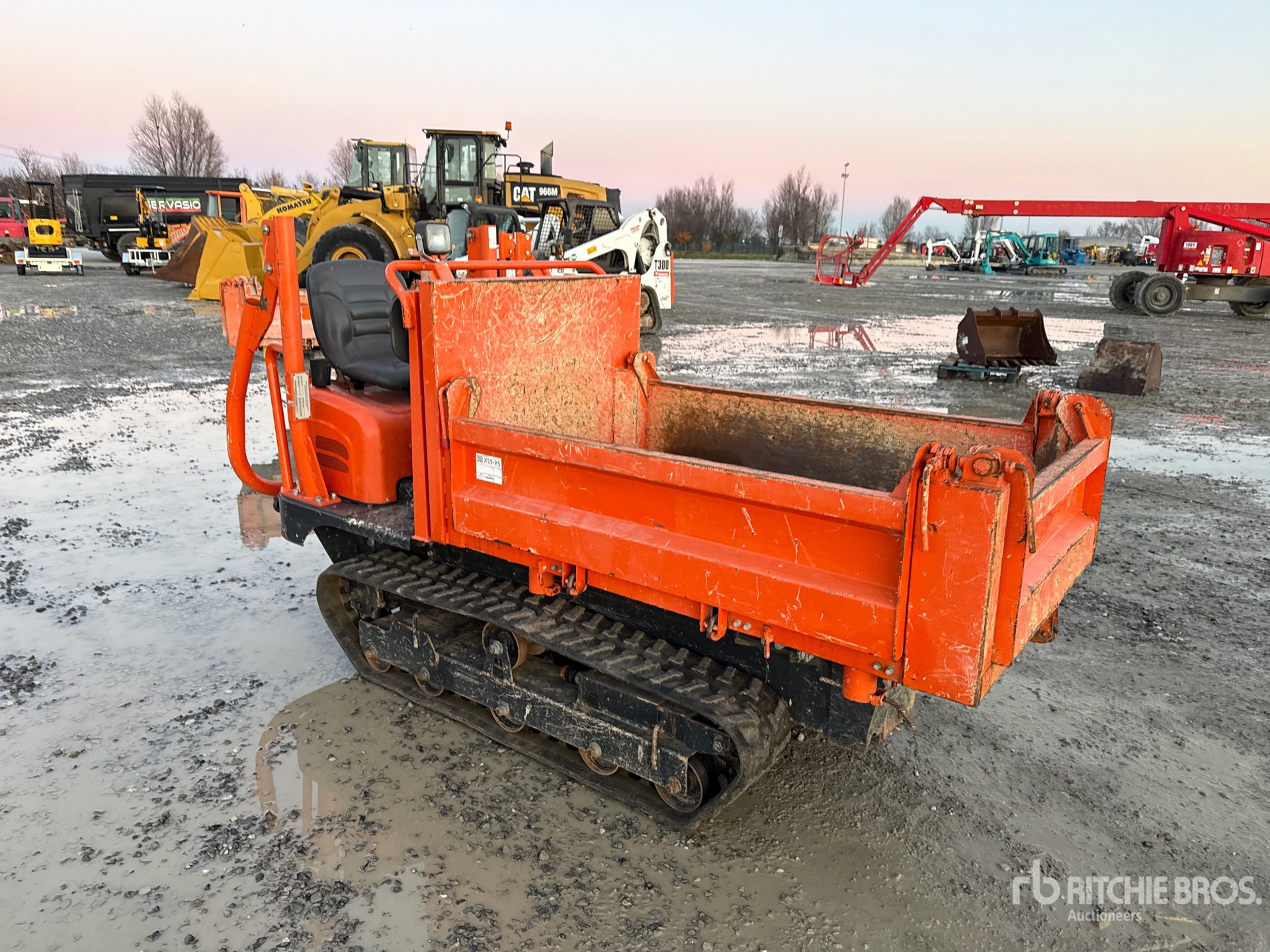 General Appearance with