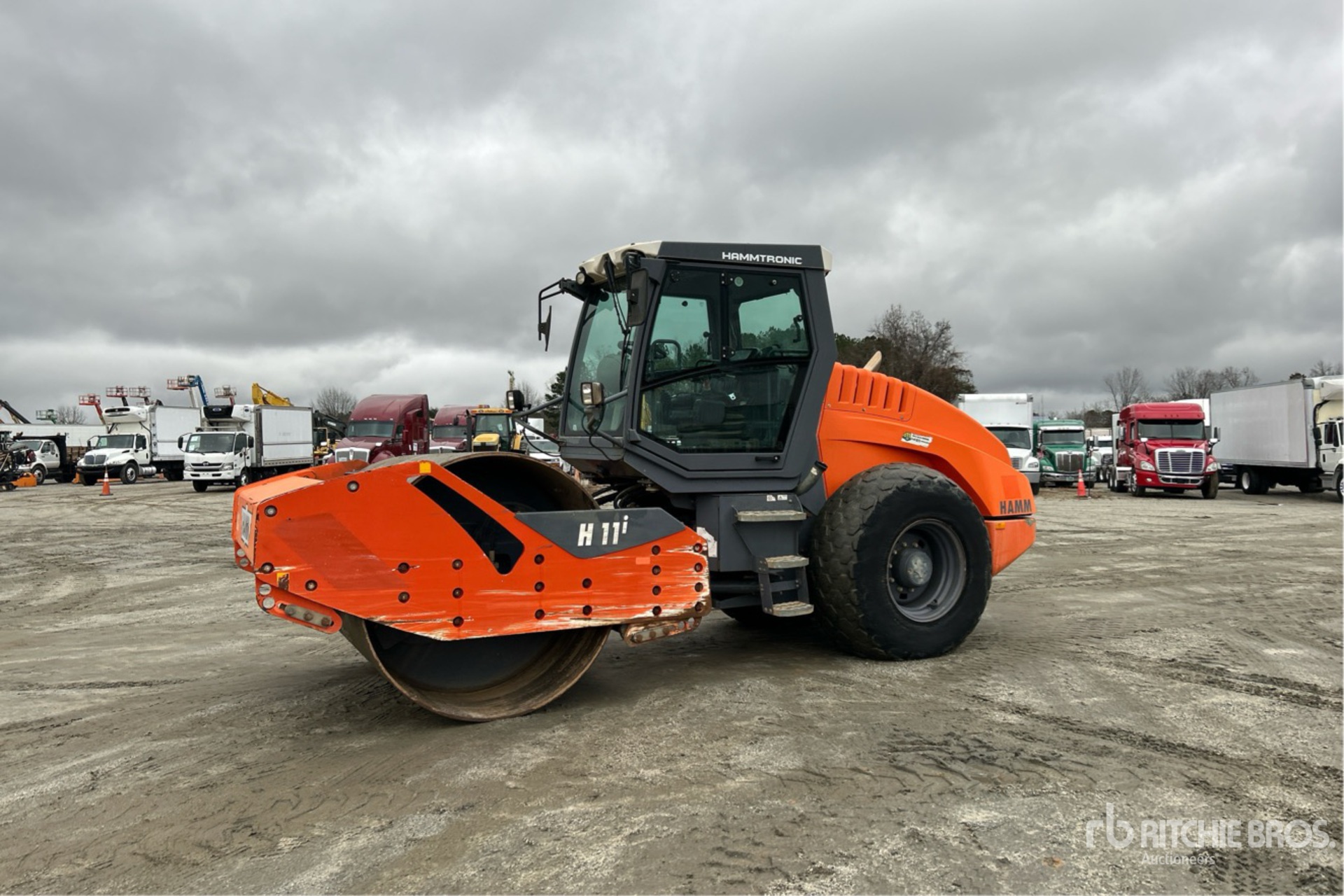 General Appearance with Spin