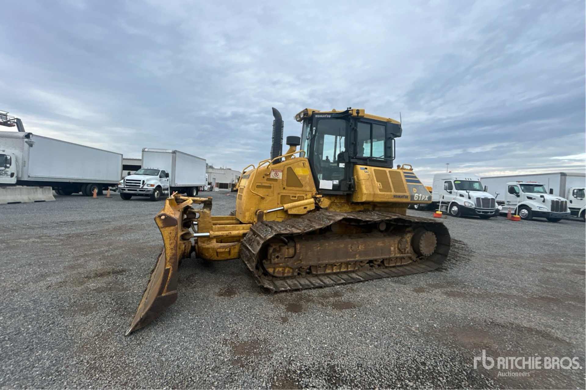 General Appearance with Spin