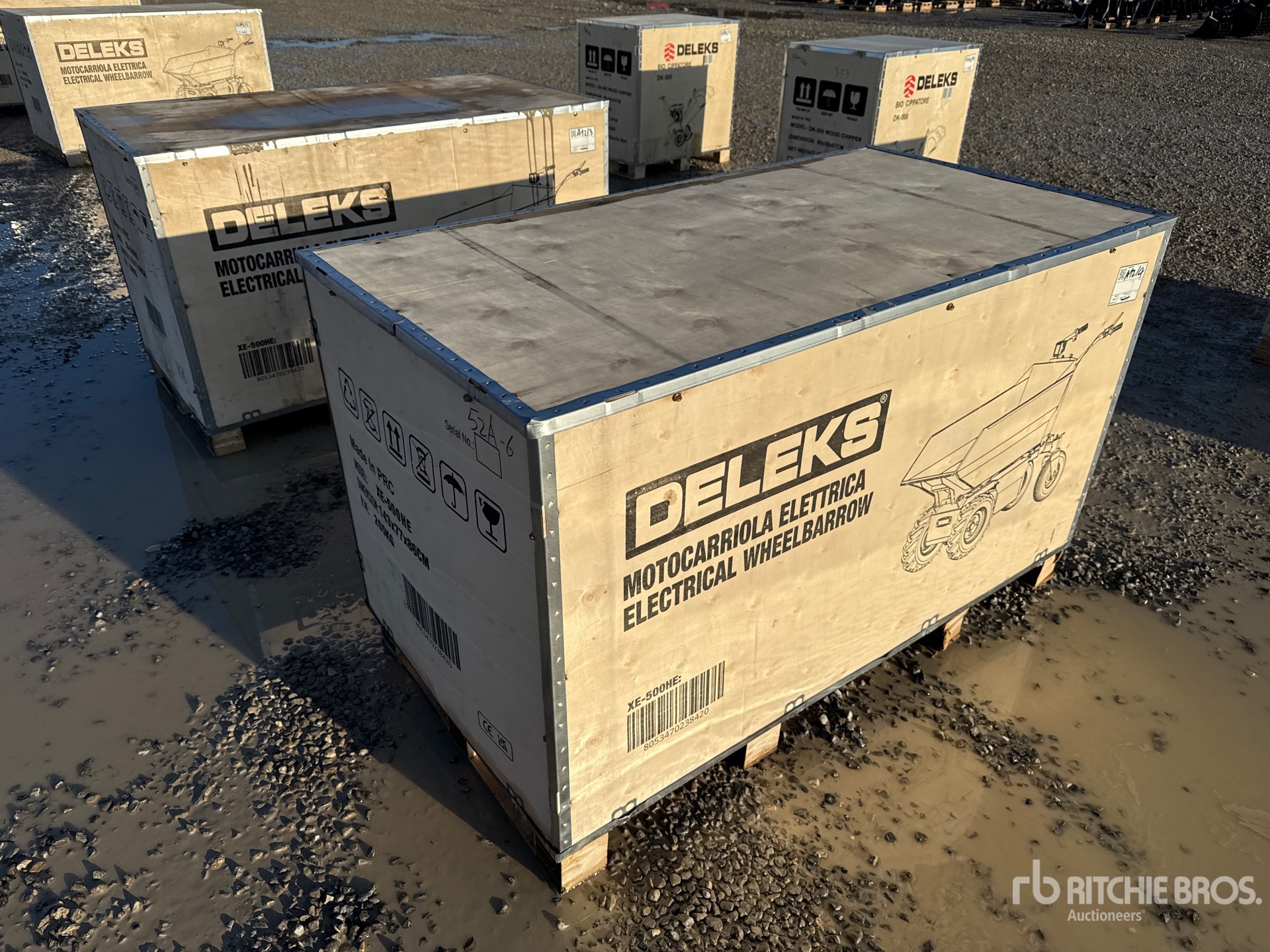 General Appearance with 