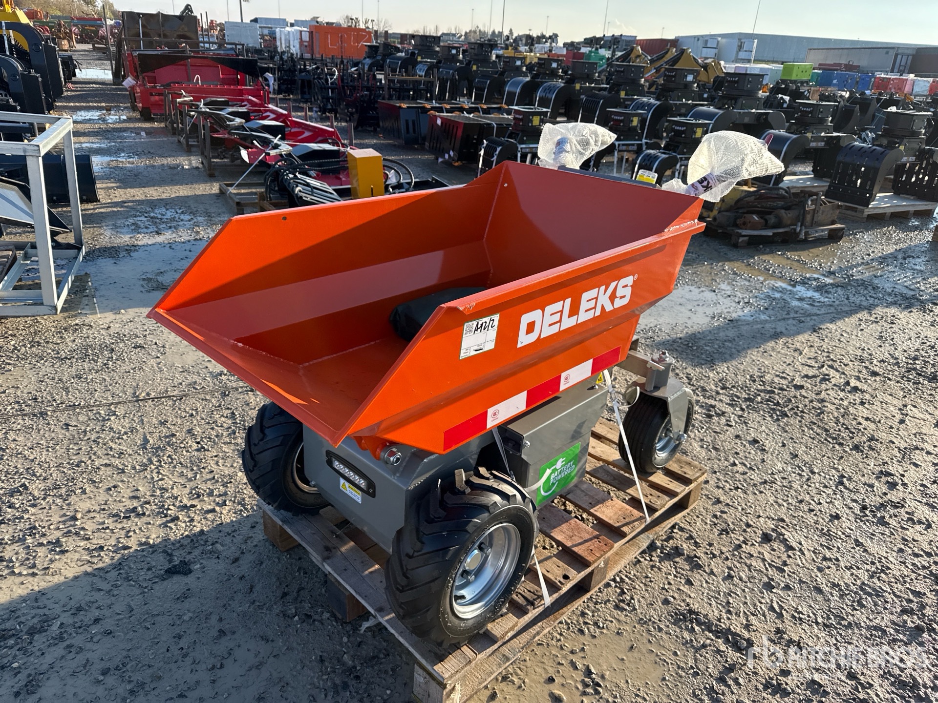 General Appearance with 