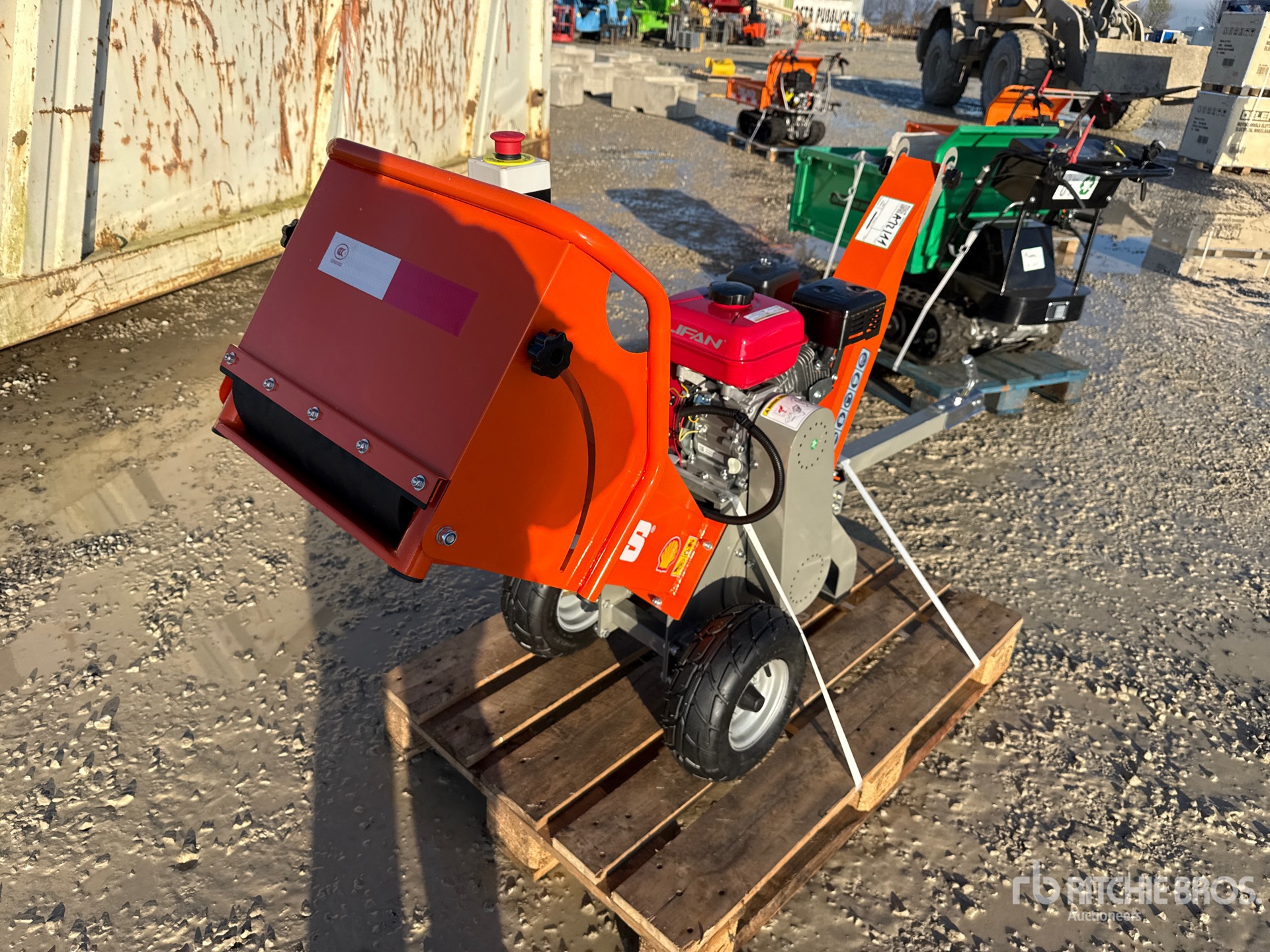 General Appearance with 