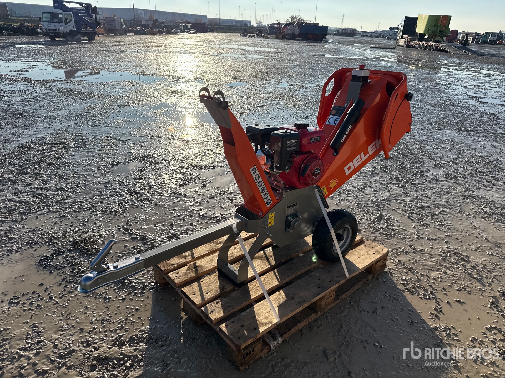 General Appearance with 