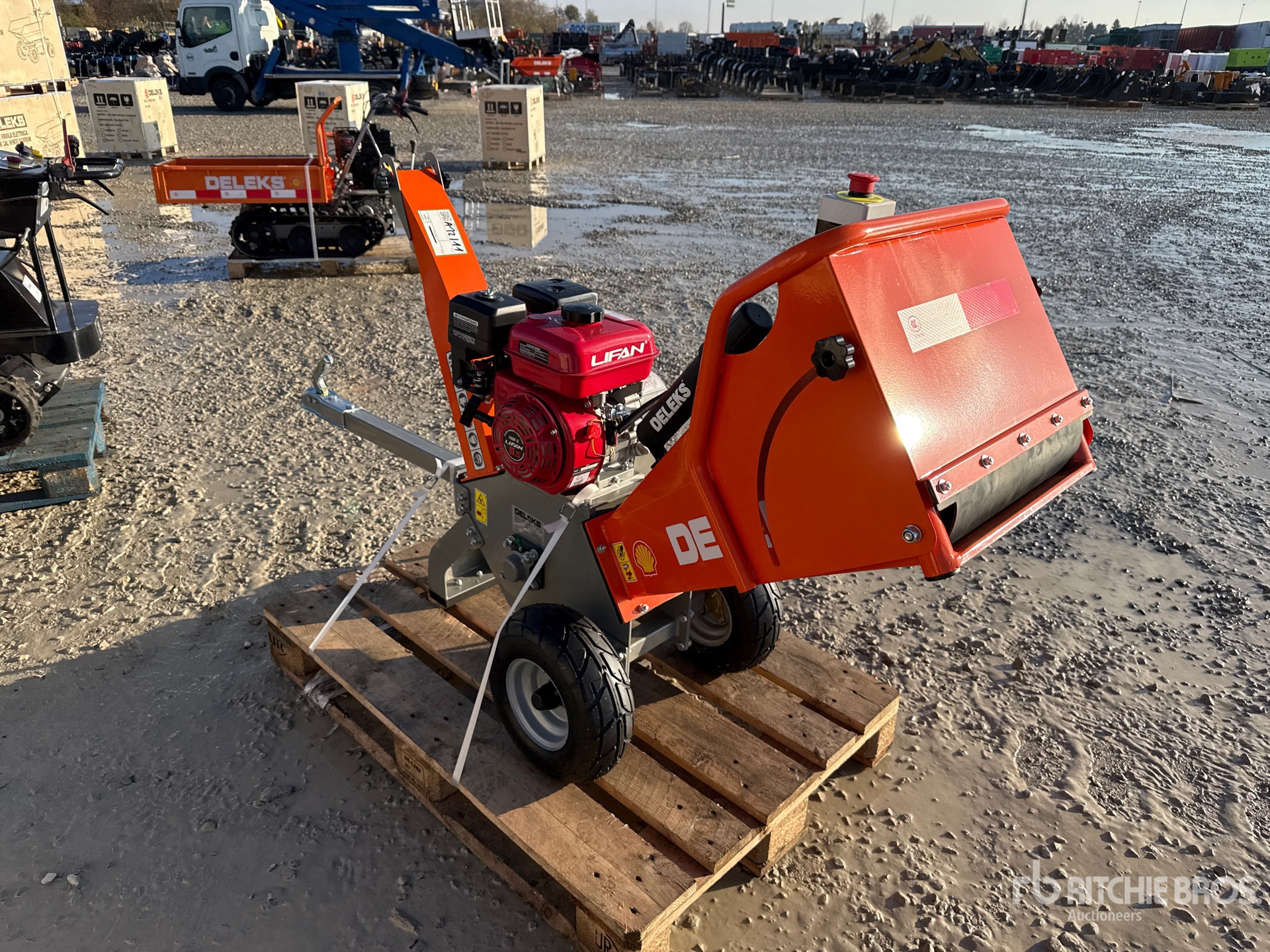 General Appearance with 