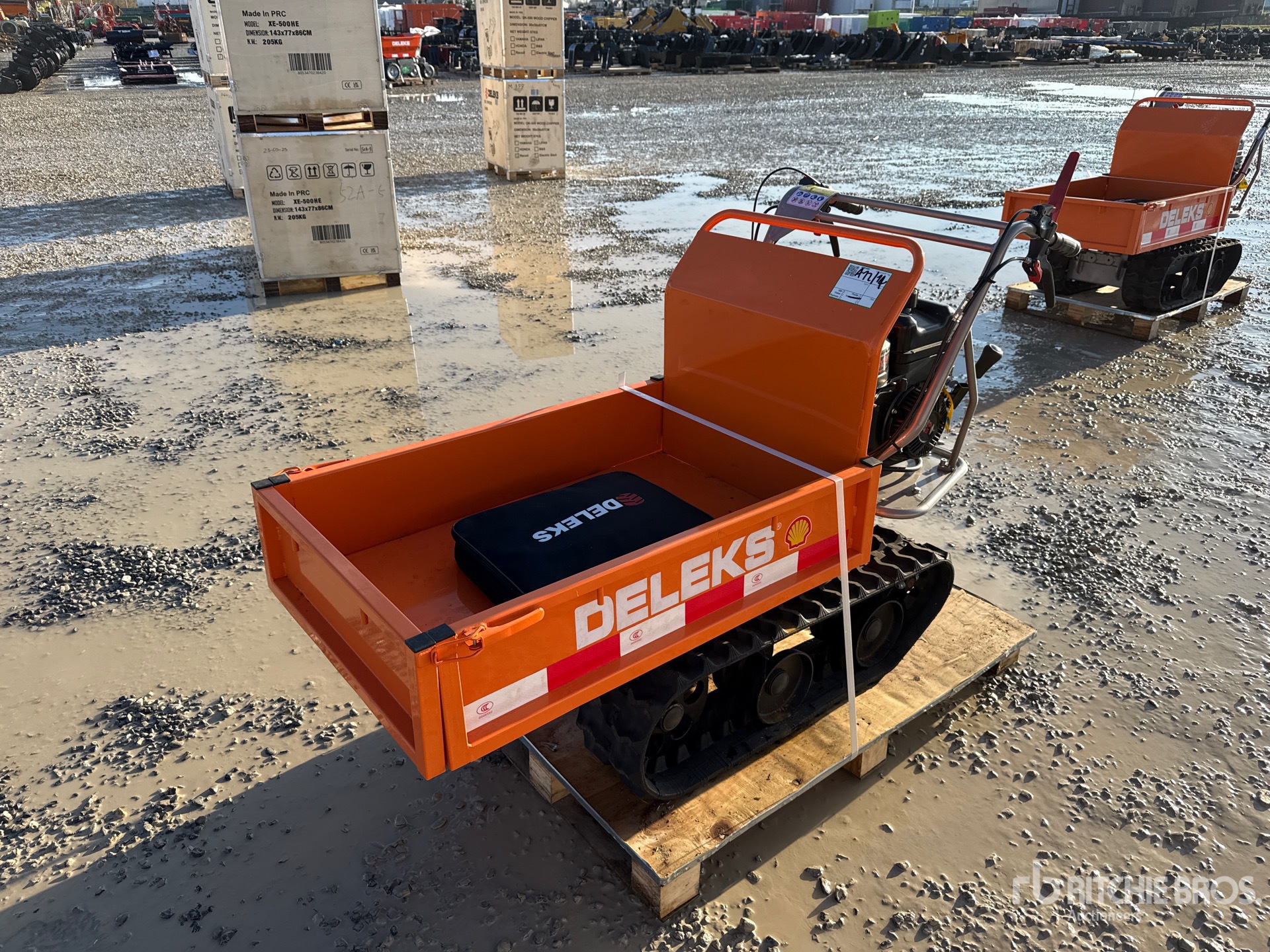 General Appearance with