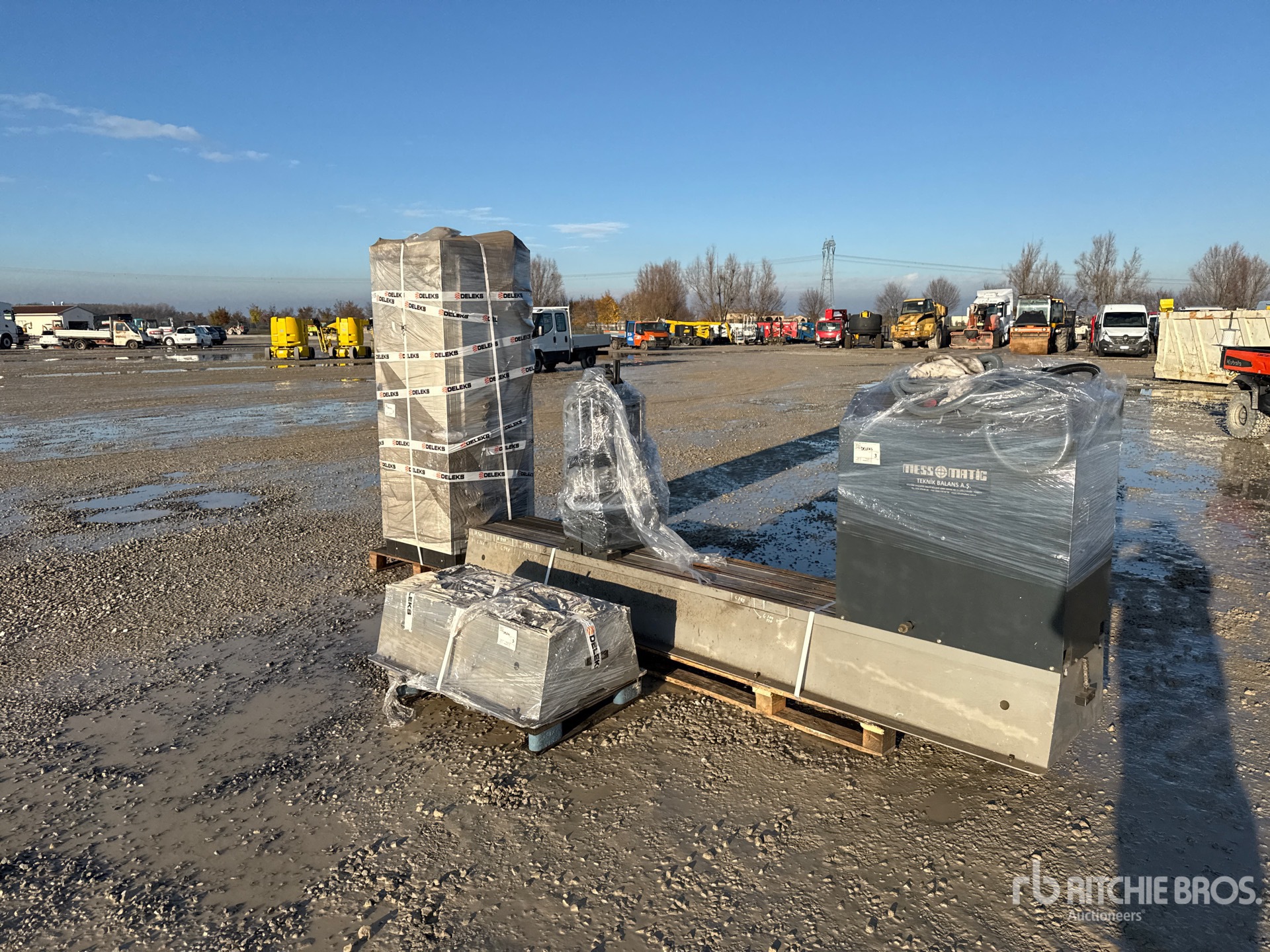 General Appearance with 