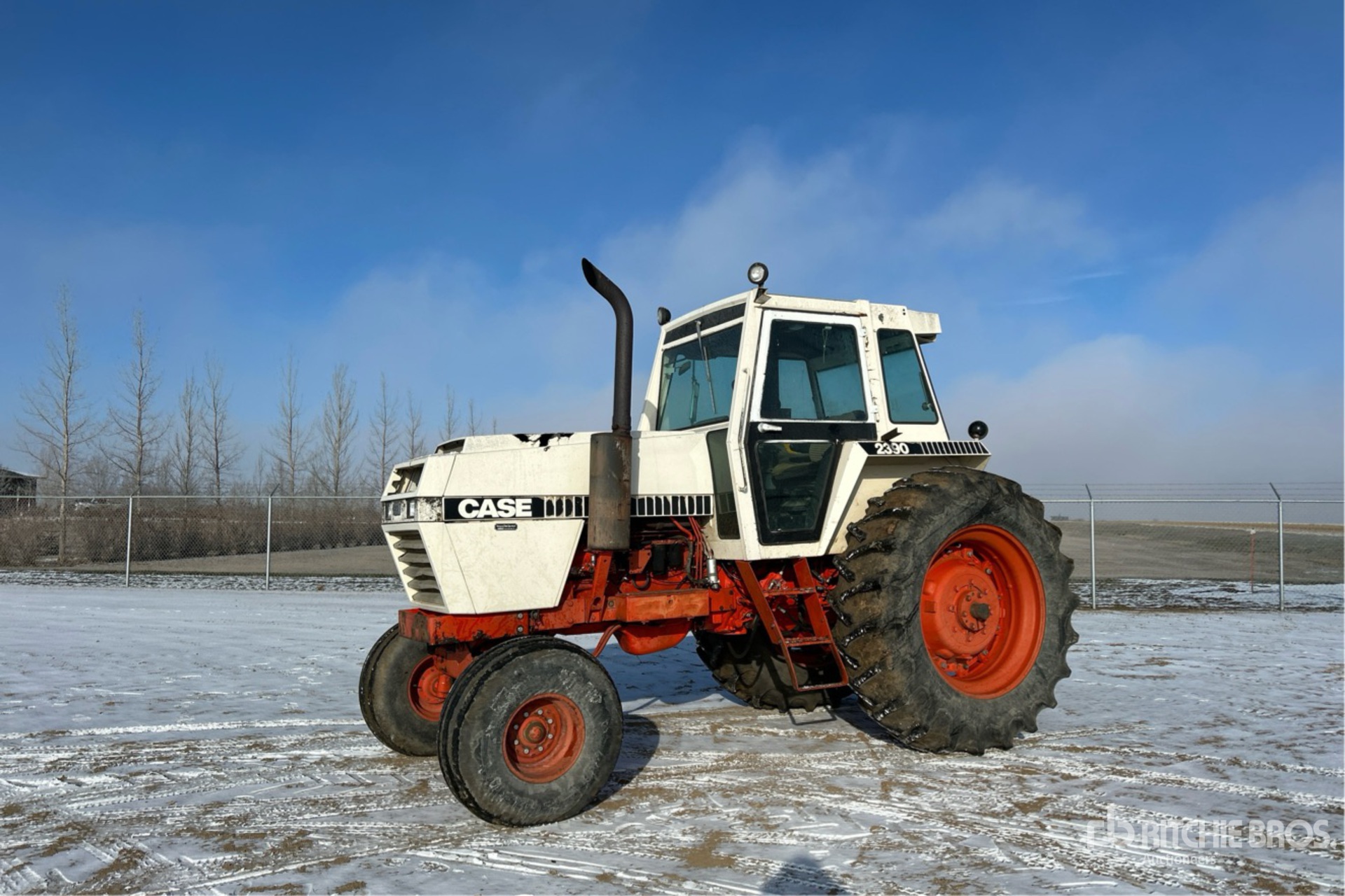 General Appearance with Zdjęcie, lewy górny róg