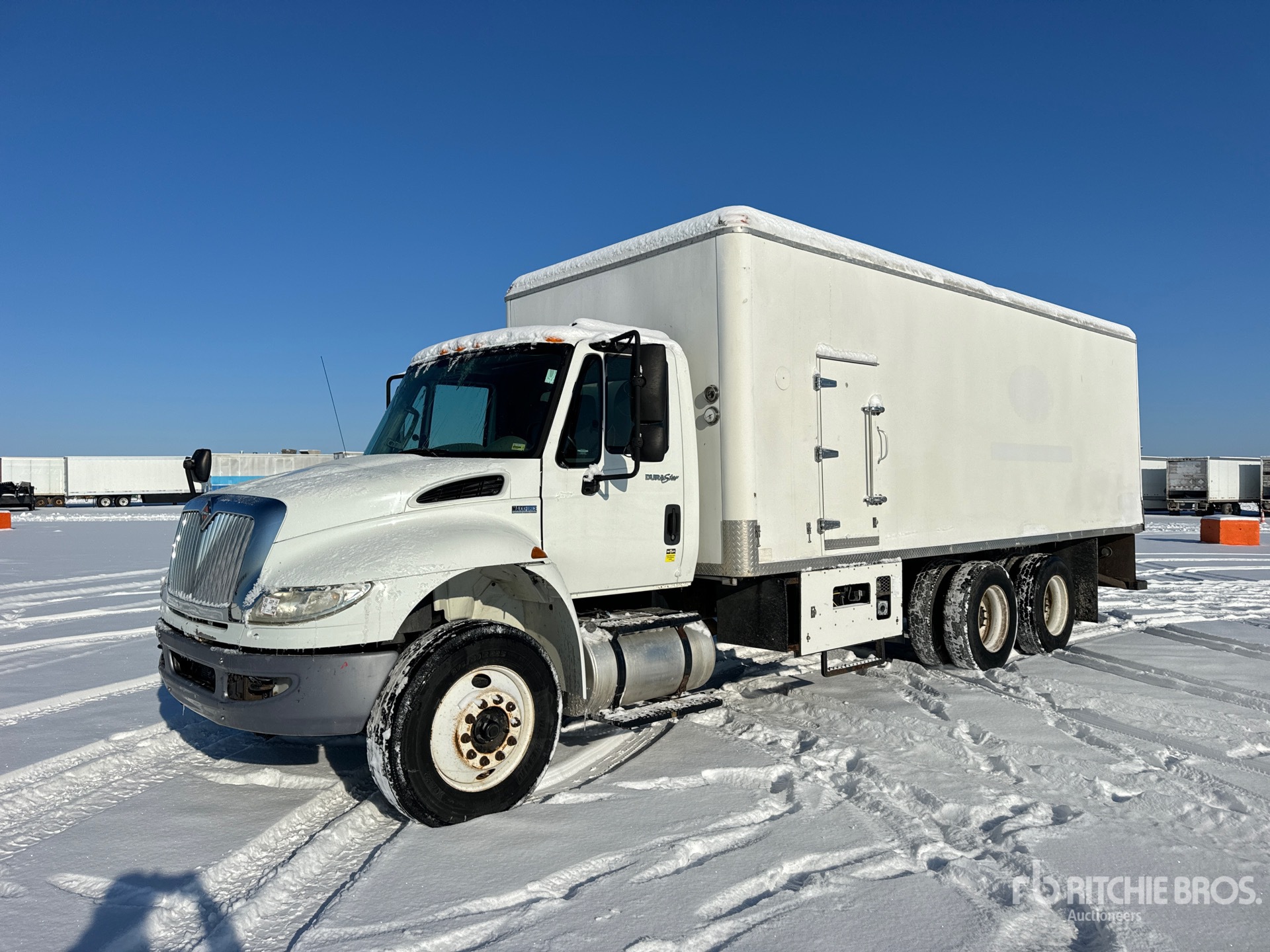 General Appearance with Spin