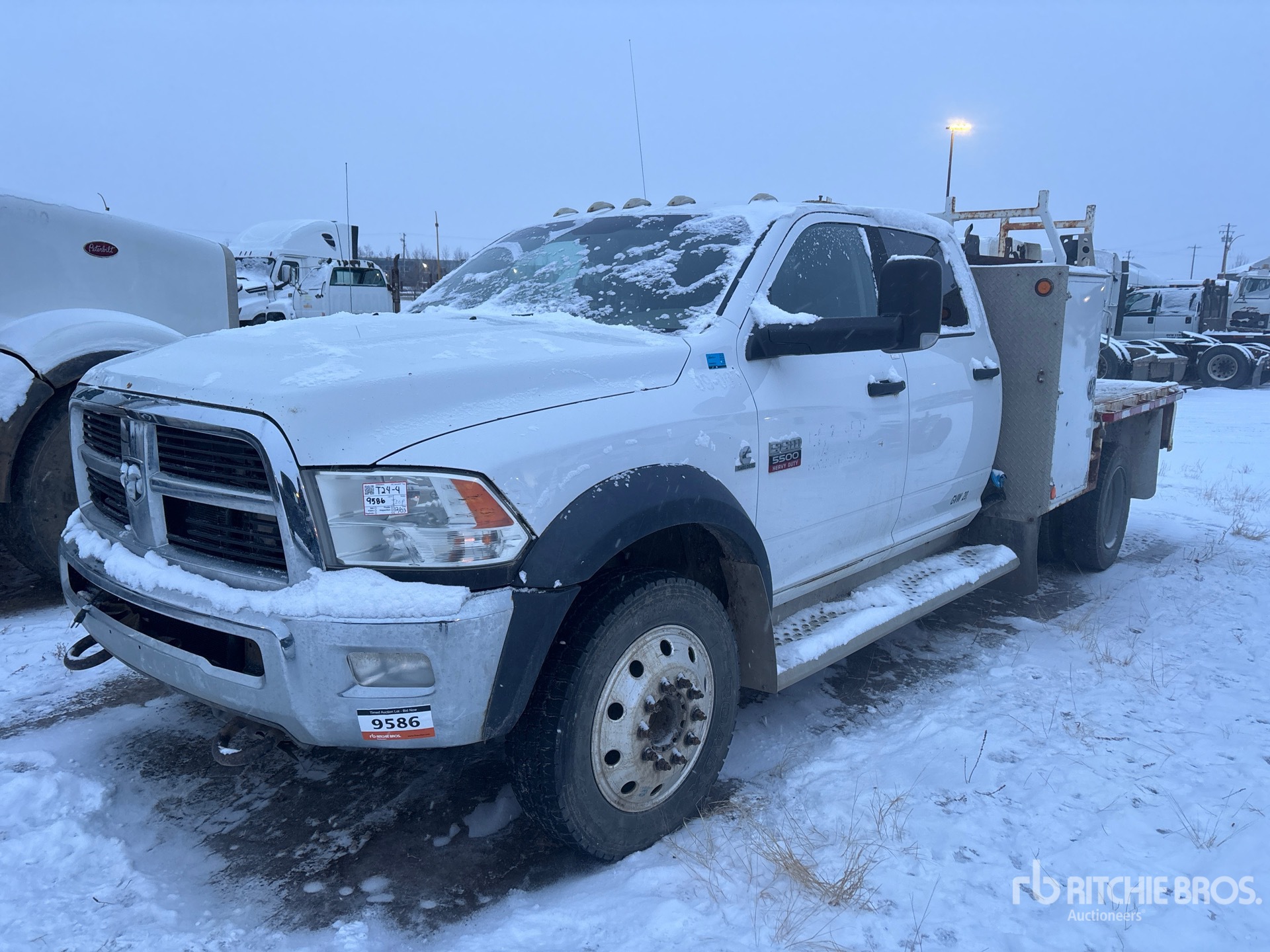 General Appearance with Bild, Ecke vorne links