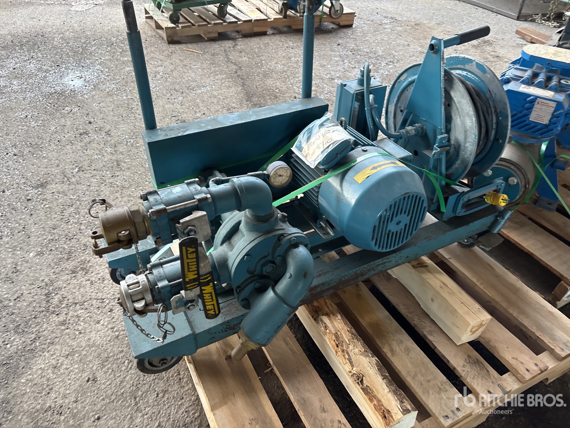 General Appearance with 