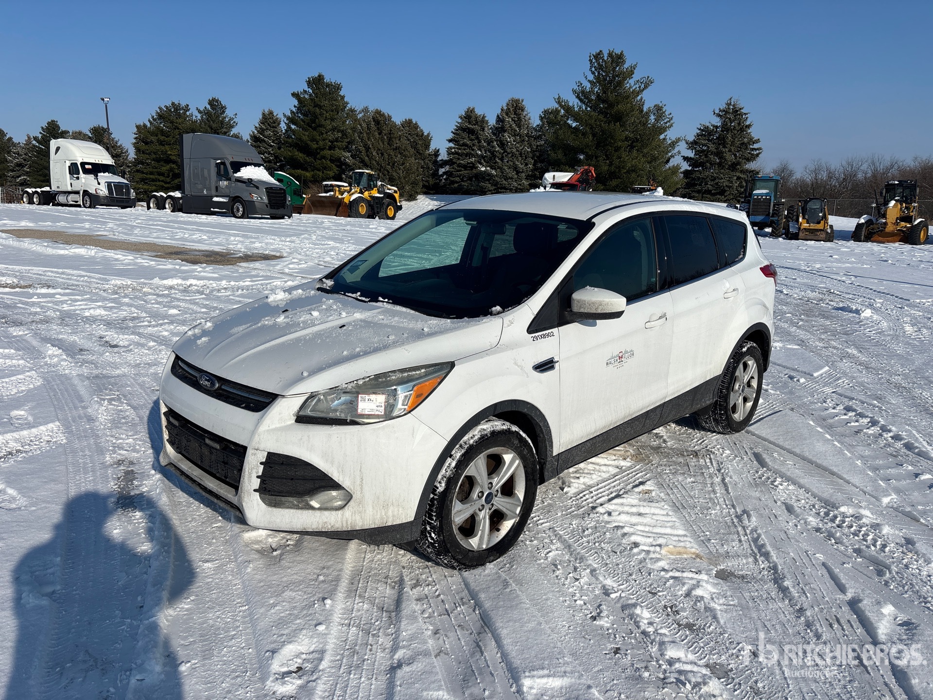 General Appearance with Spin