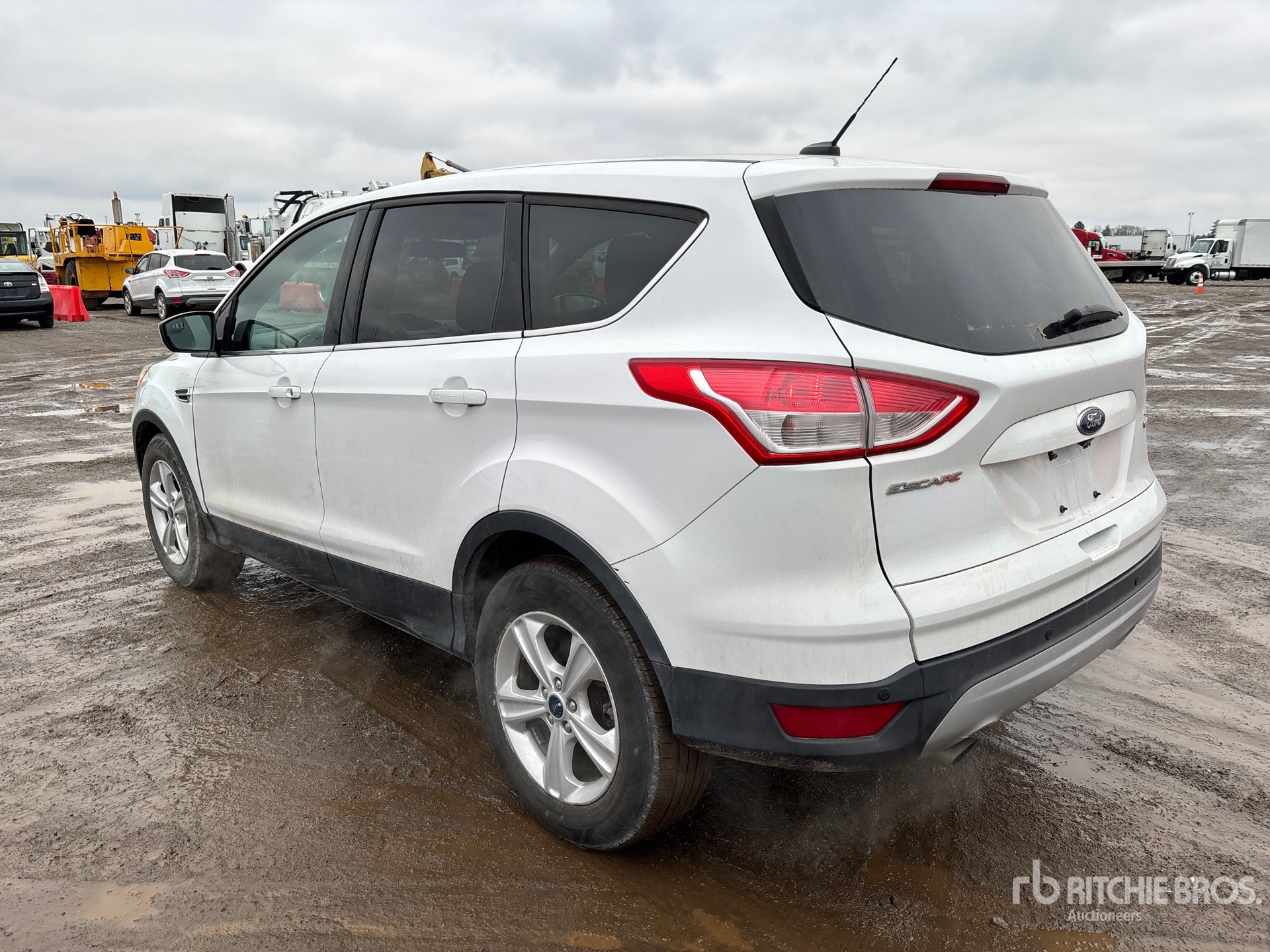 General Appearance with Picture, Left Rear Corner