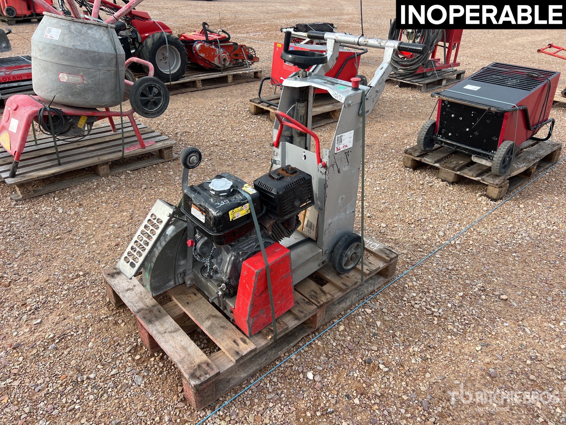 General Appearance with 