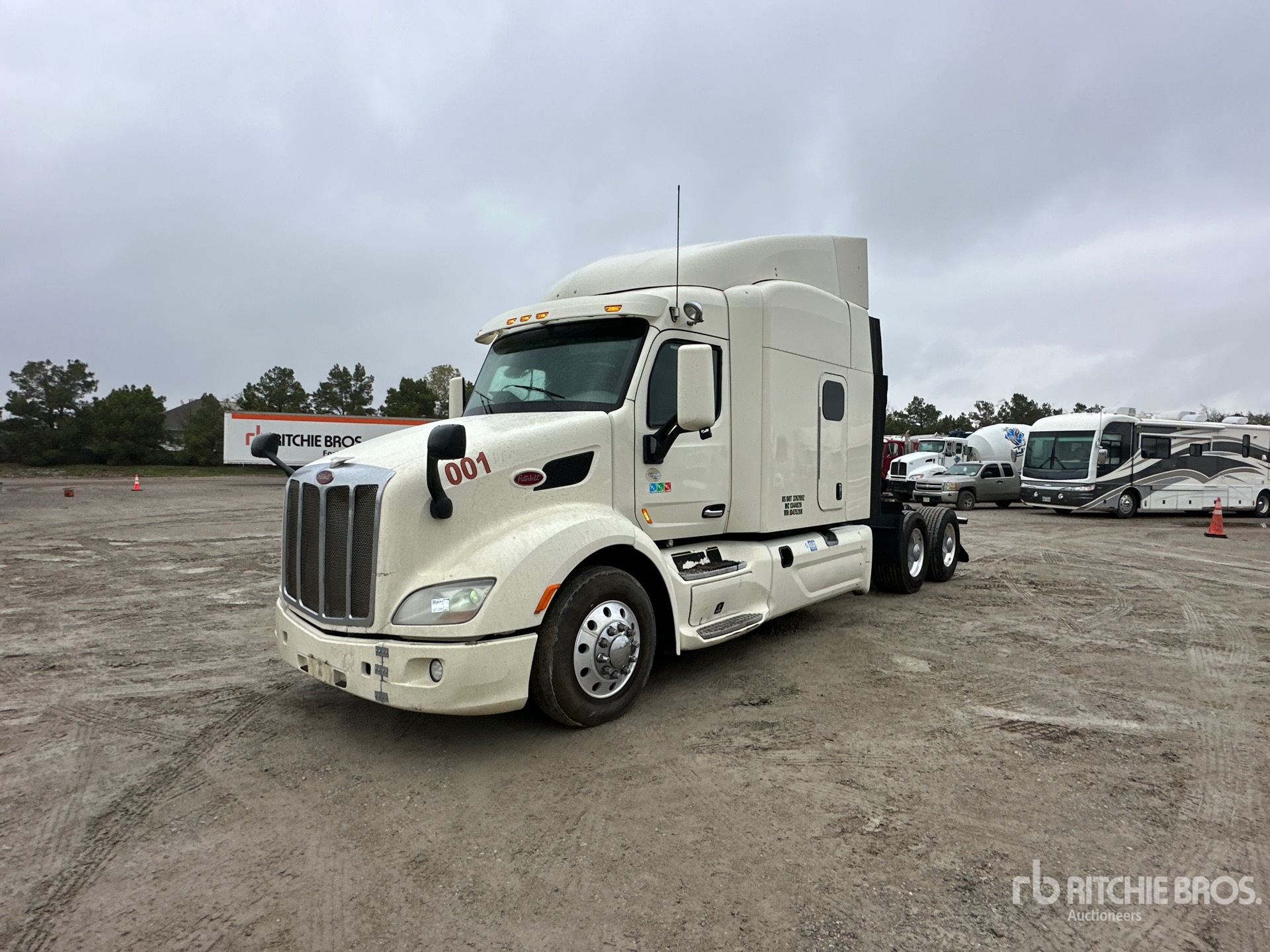 General Appearance with Spin