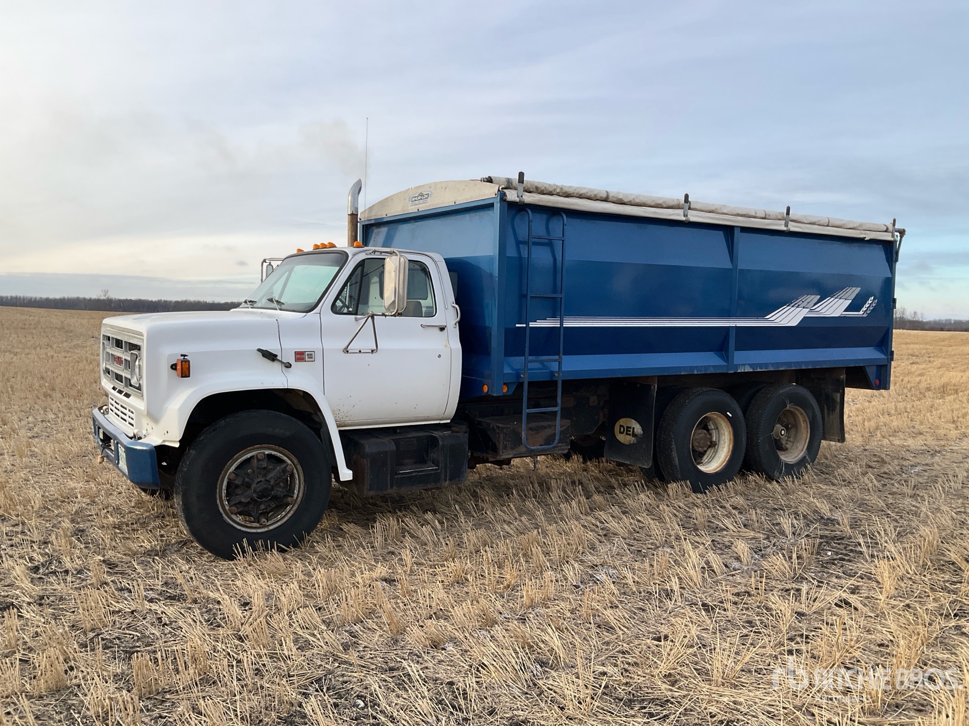 General Appearance with Spin