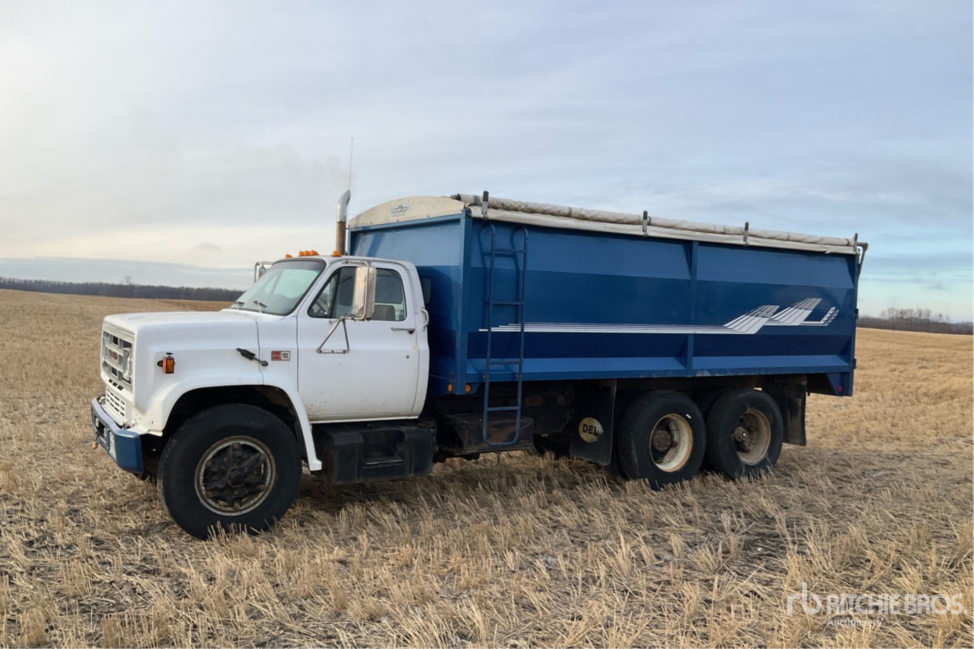 General Appearance with Imagen: esquina delantera izquierda