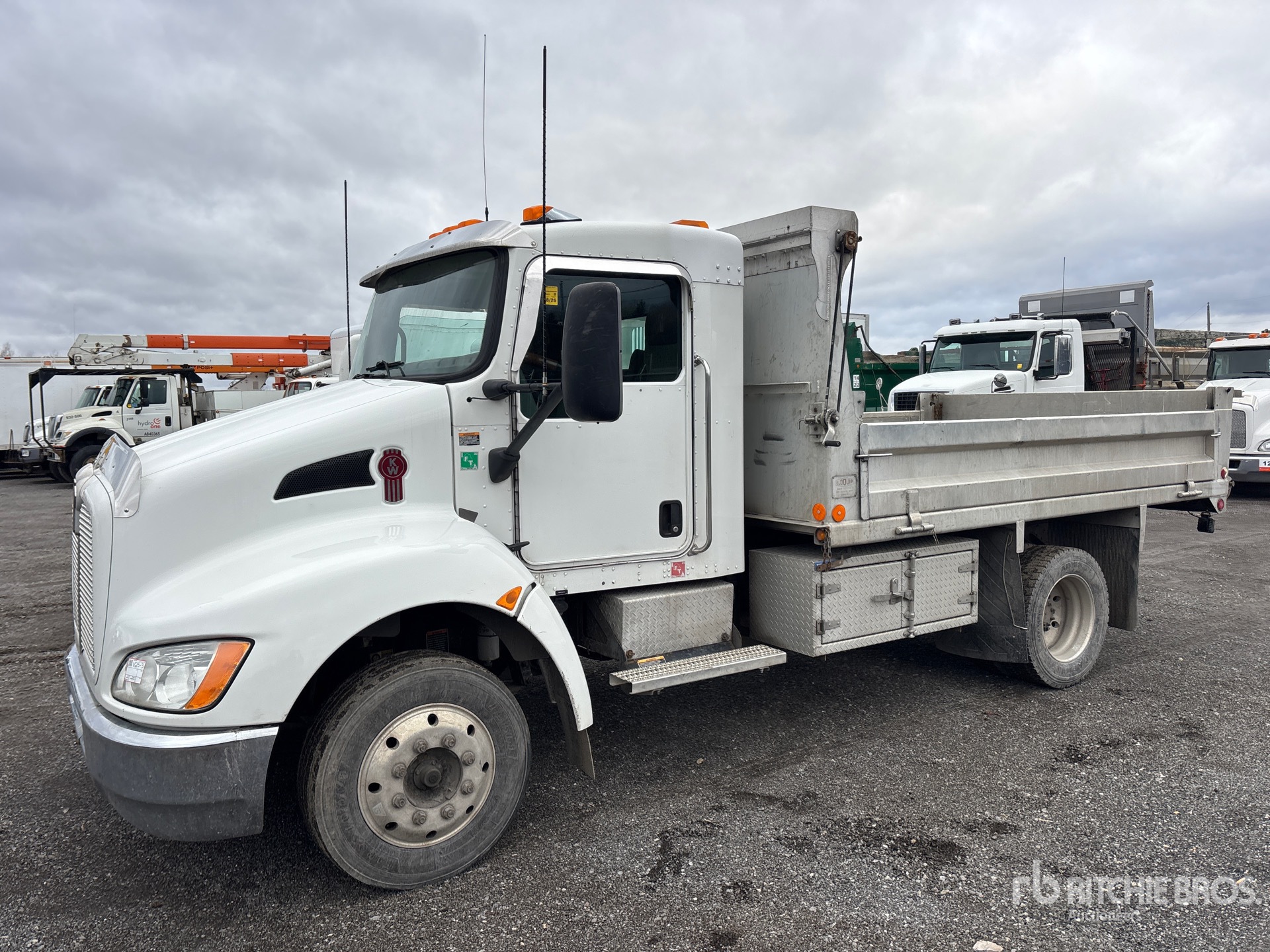 General Appearance with Spin