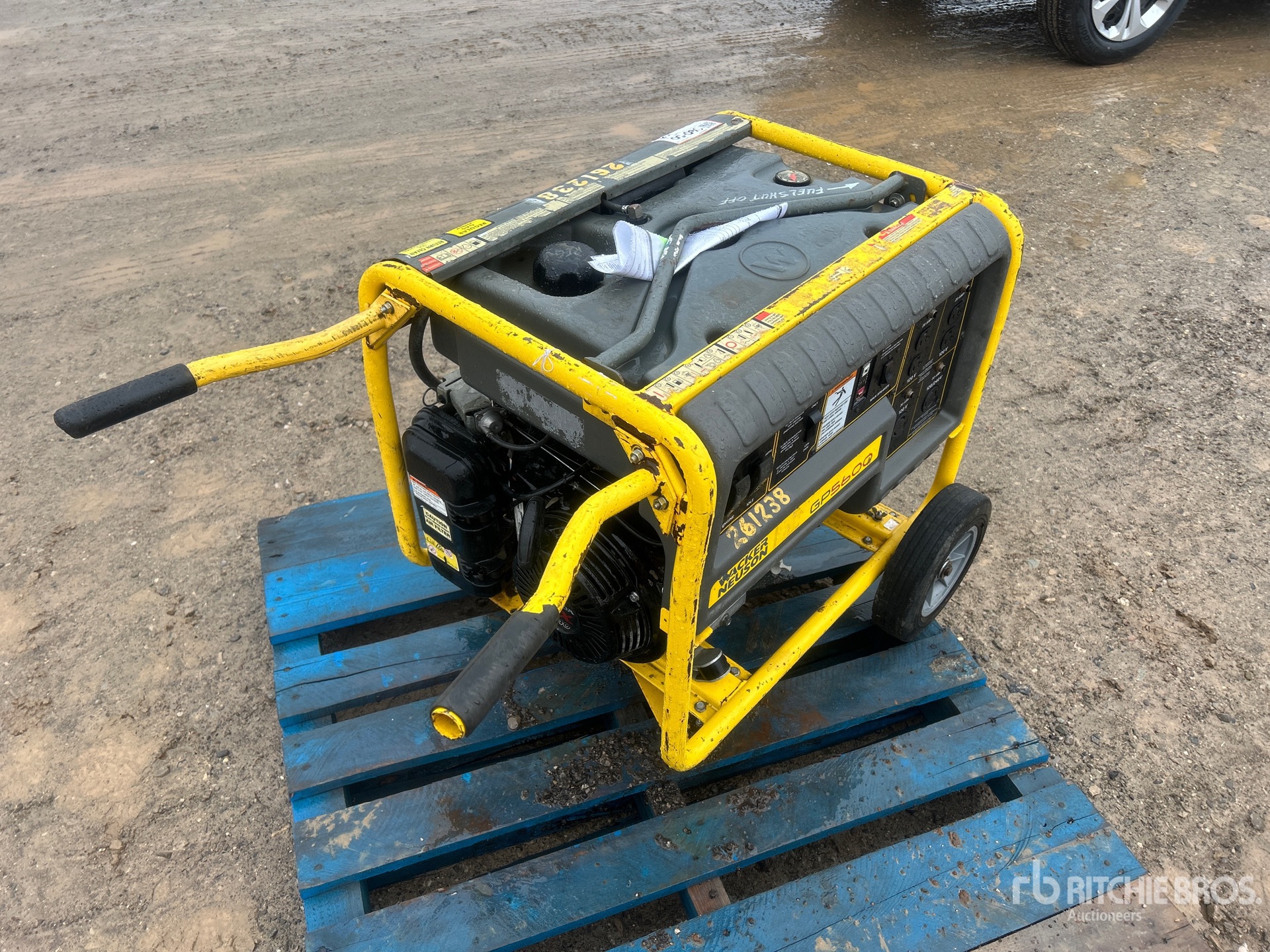 General Appearance with Zdjęcie, prawy dolny róg