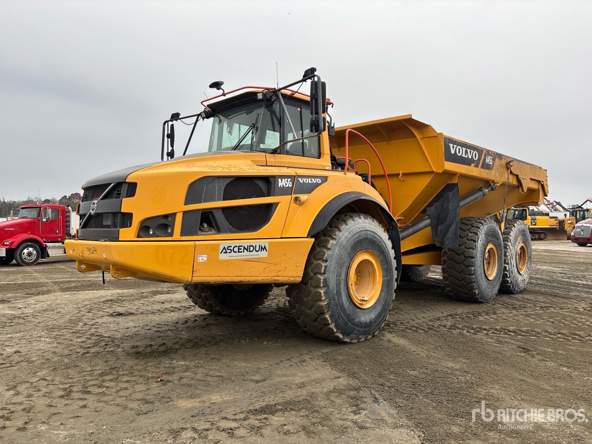 General Appearance with Spin