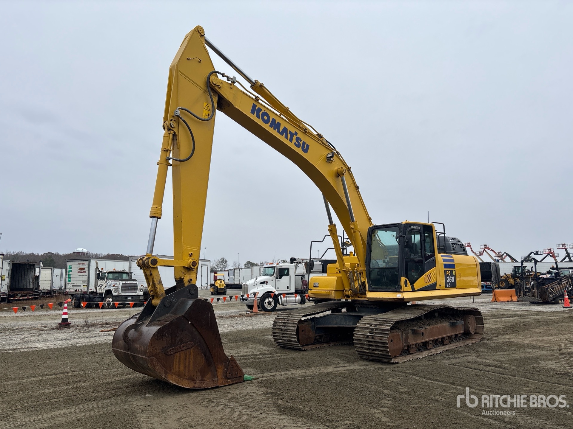 General Appearance with Spin