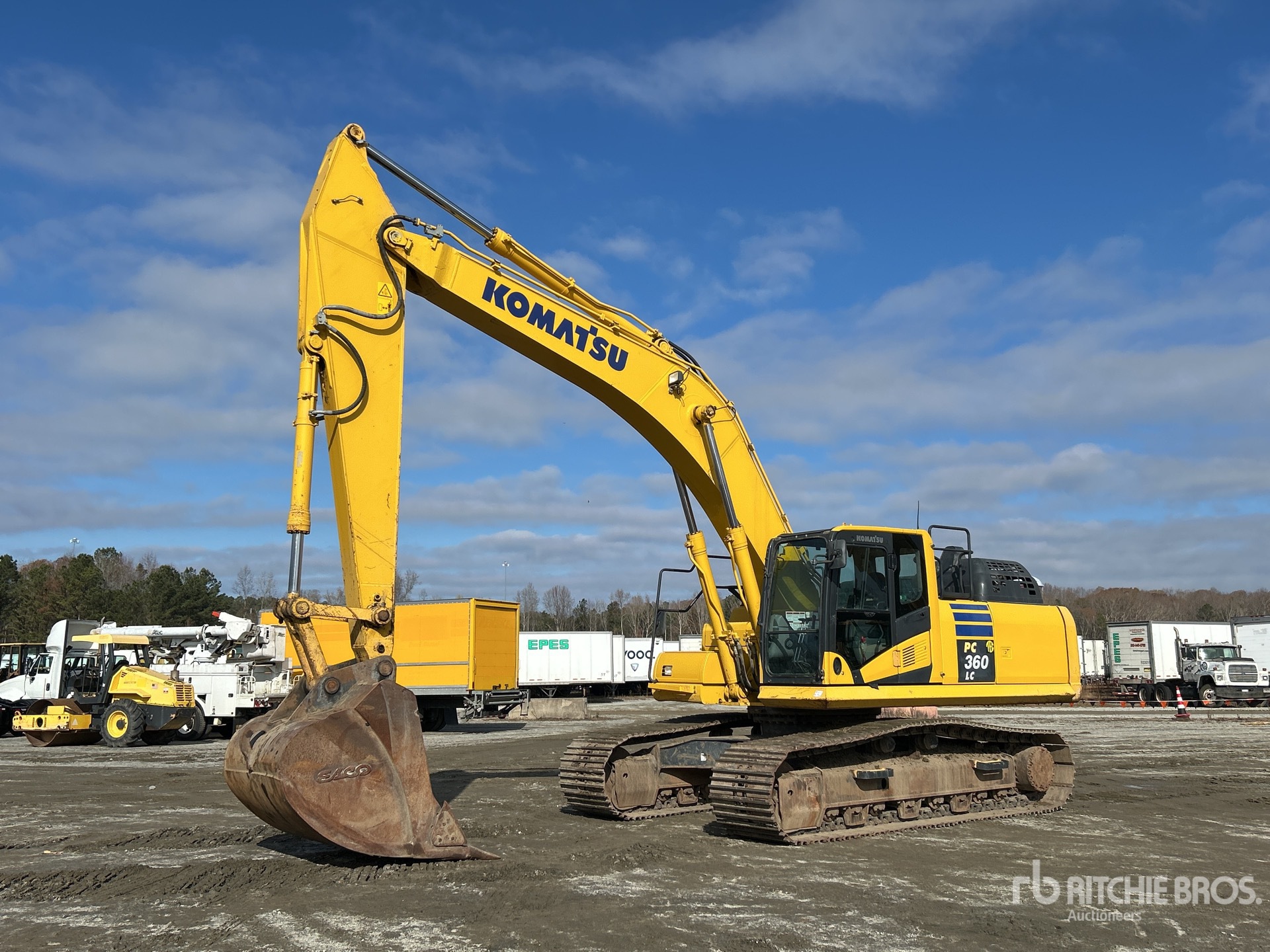 General Appearance with Spin