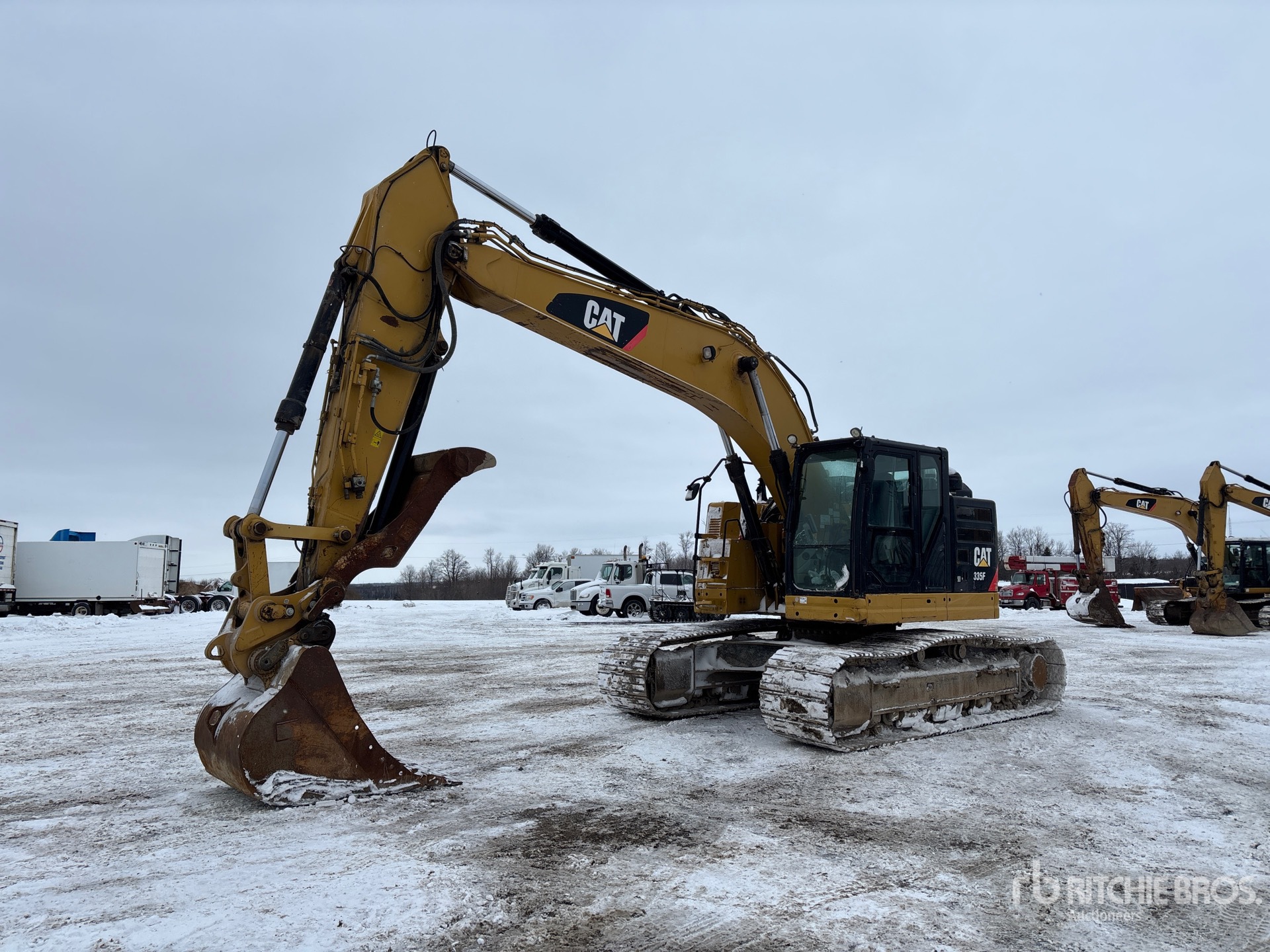 General Appearance with Spin