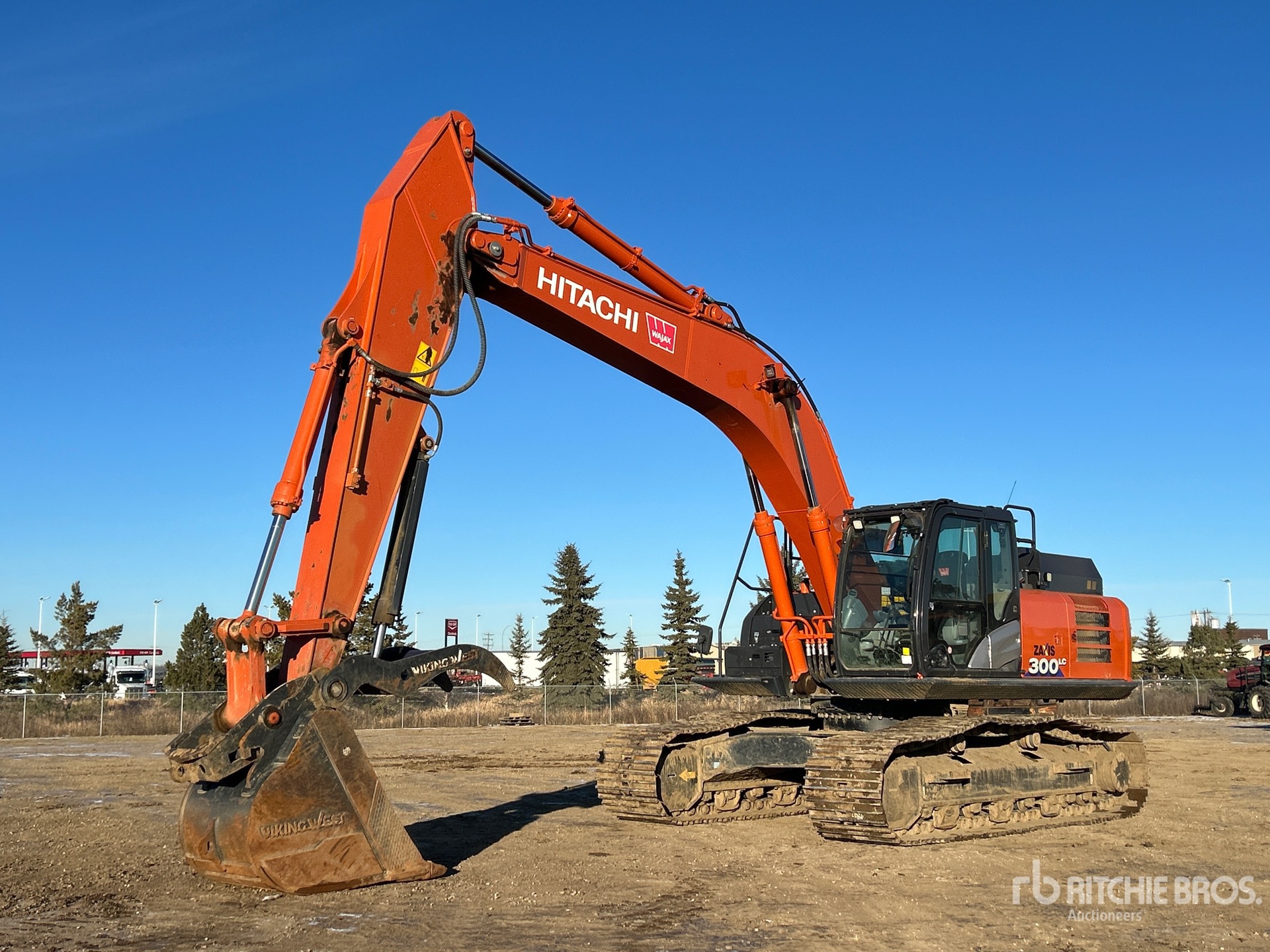 General Appearance with Spin