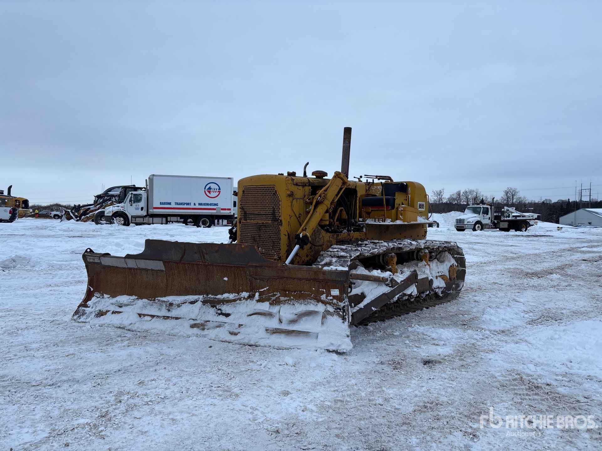 General Appearance with Spin