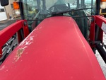 General Appearance with Paint