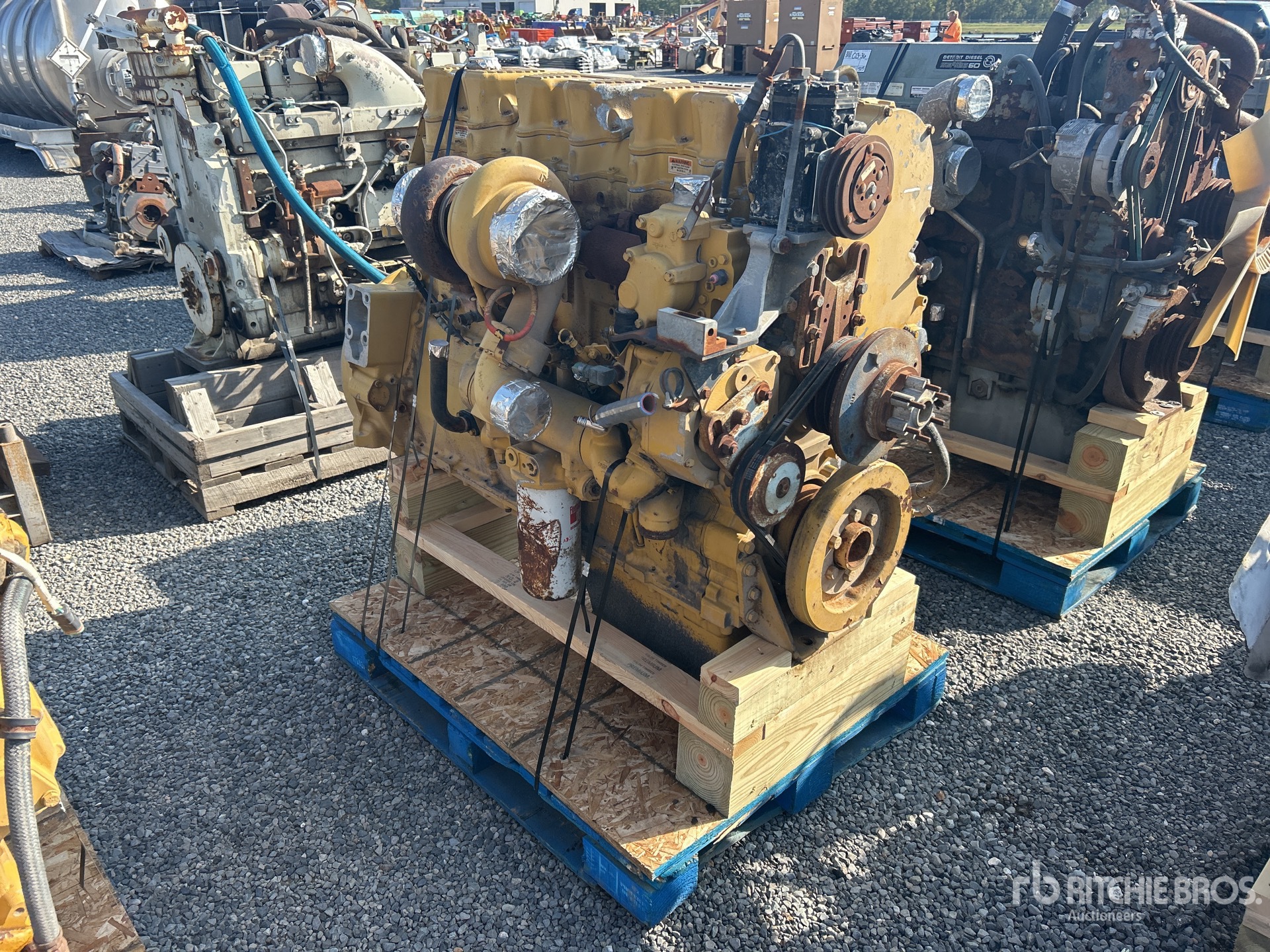 General Appearance with Zdjęcie, prawy górny róg