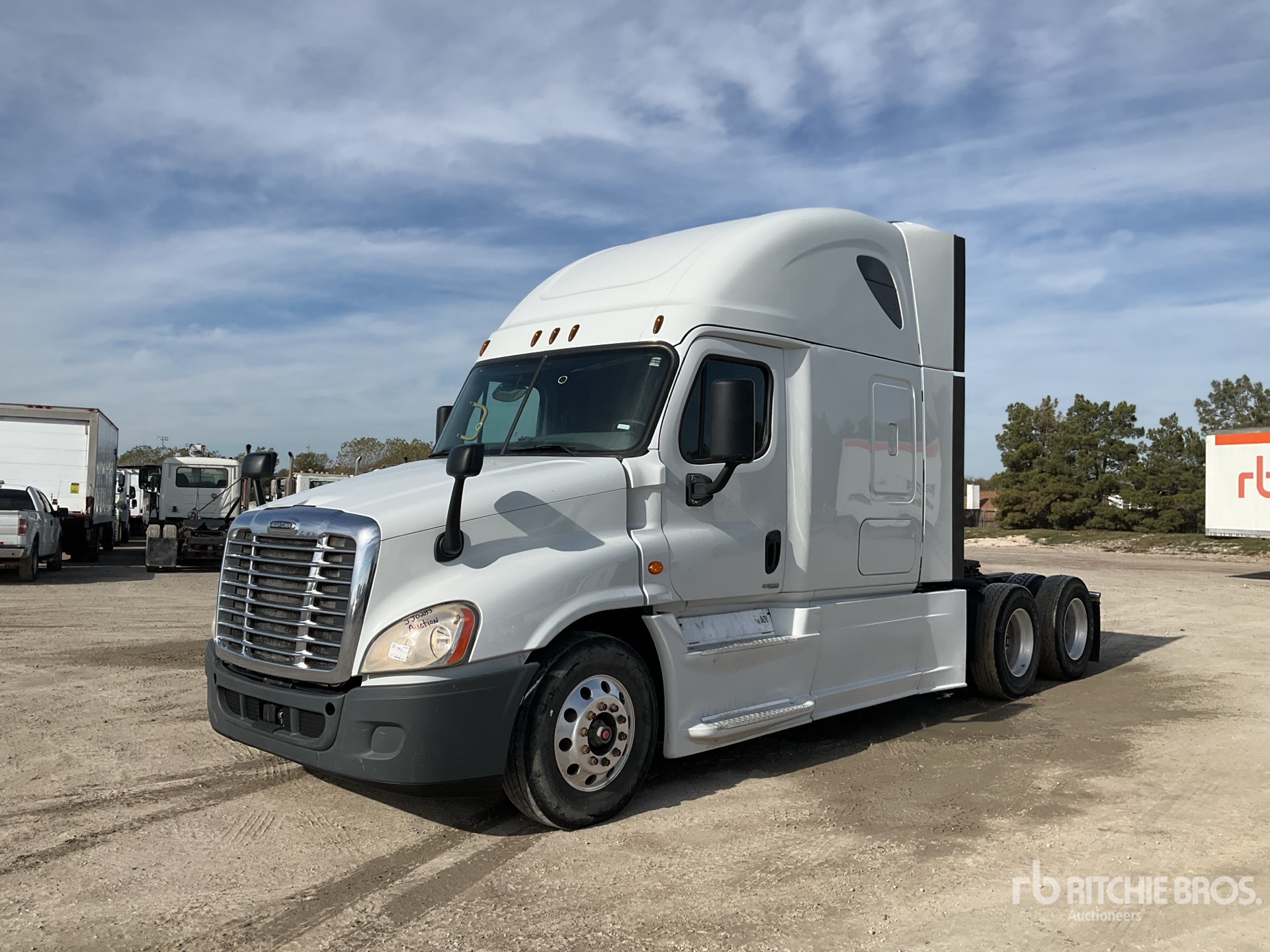 General Appearance with Spin