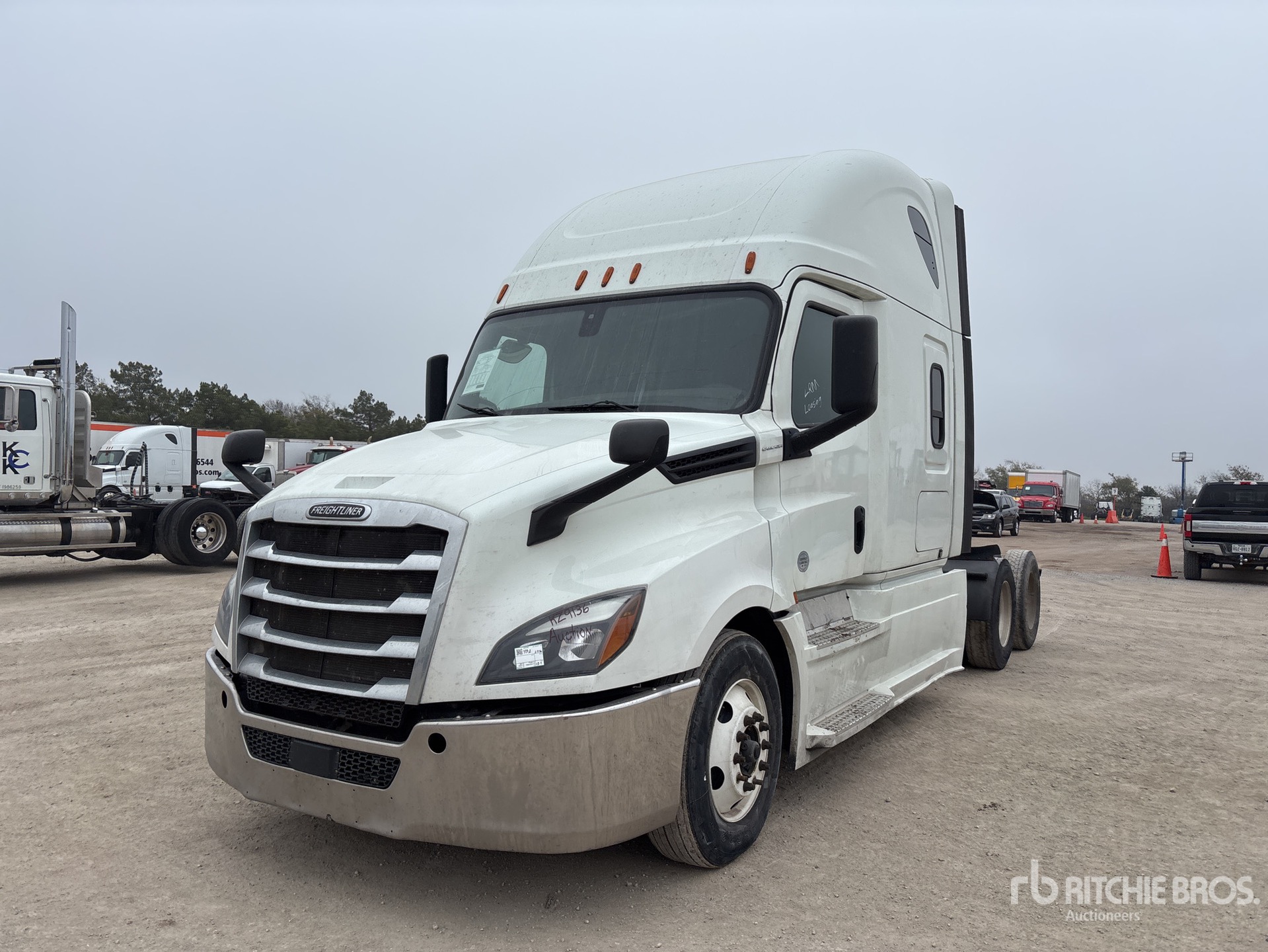 General Appearance with Spin