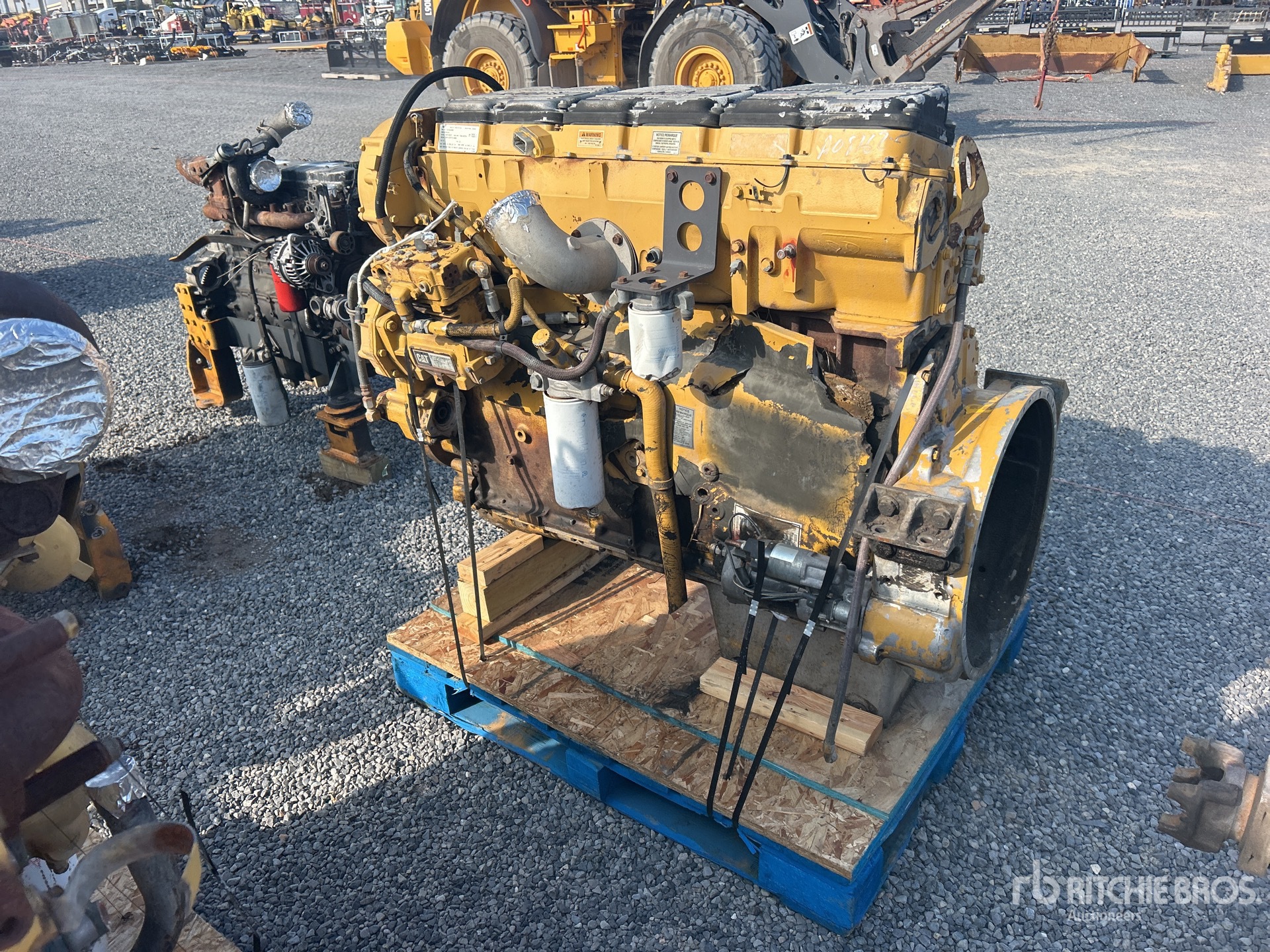 General Appearance with Zdjęcie, lewy dolny róg