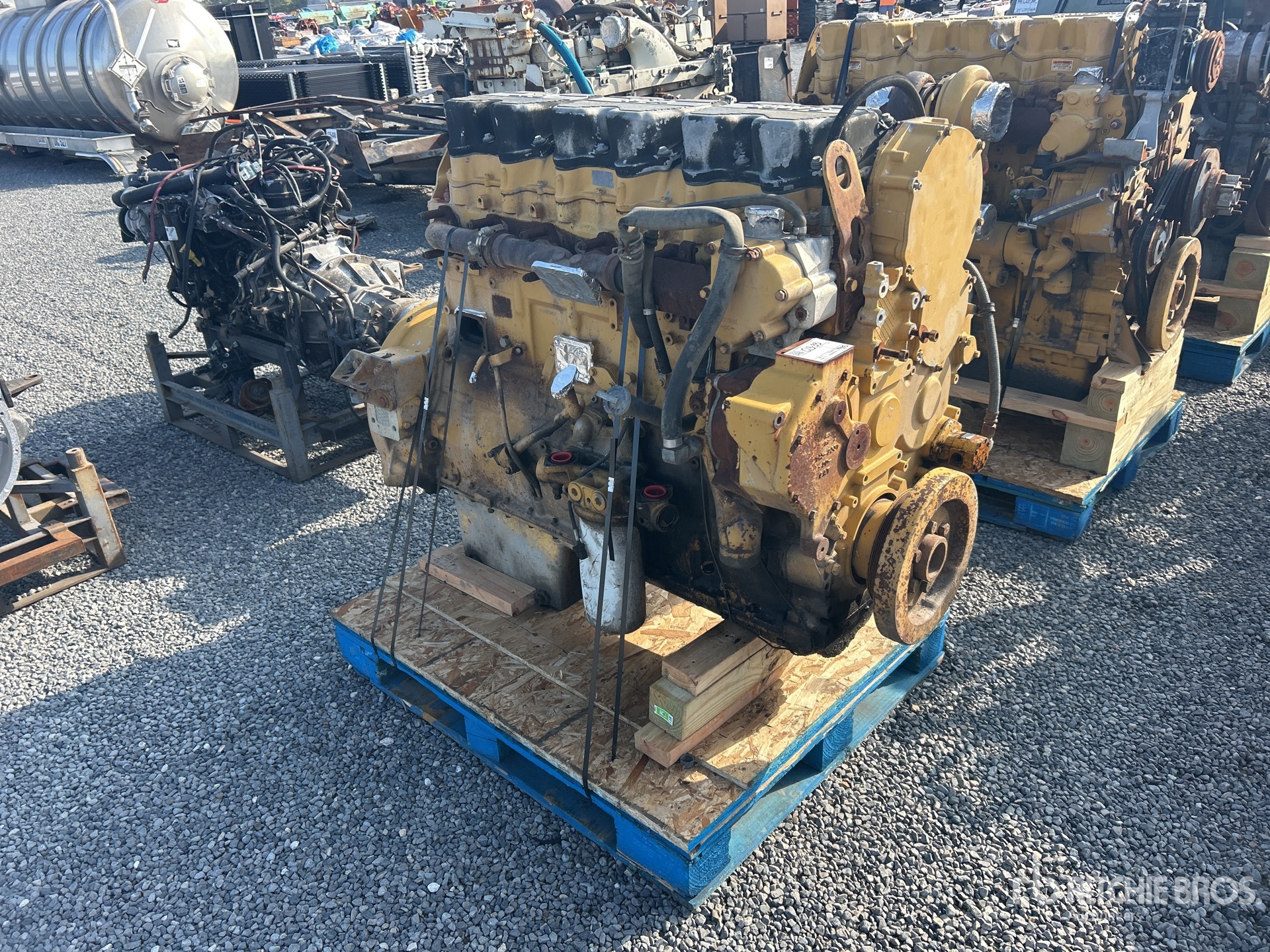 General Appearance with Zdjęcie, prawy górny róg