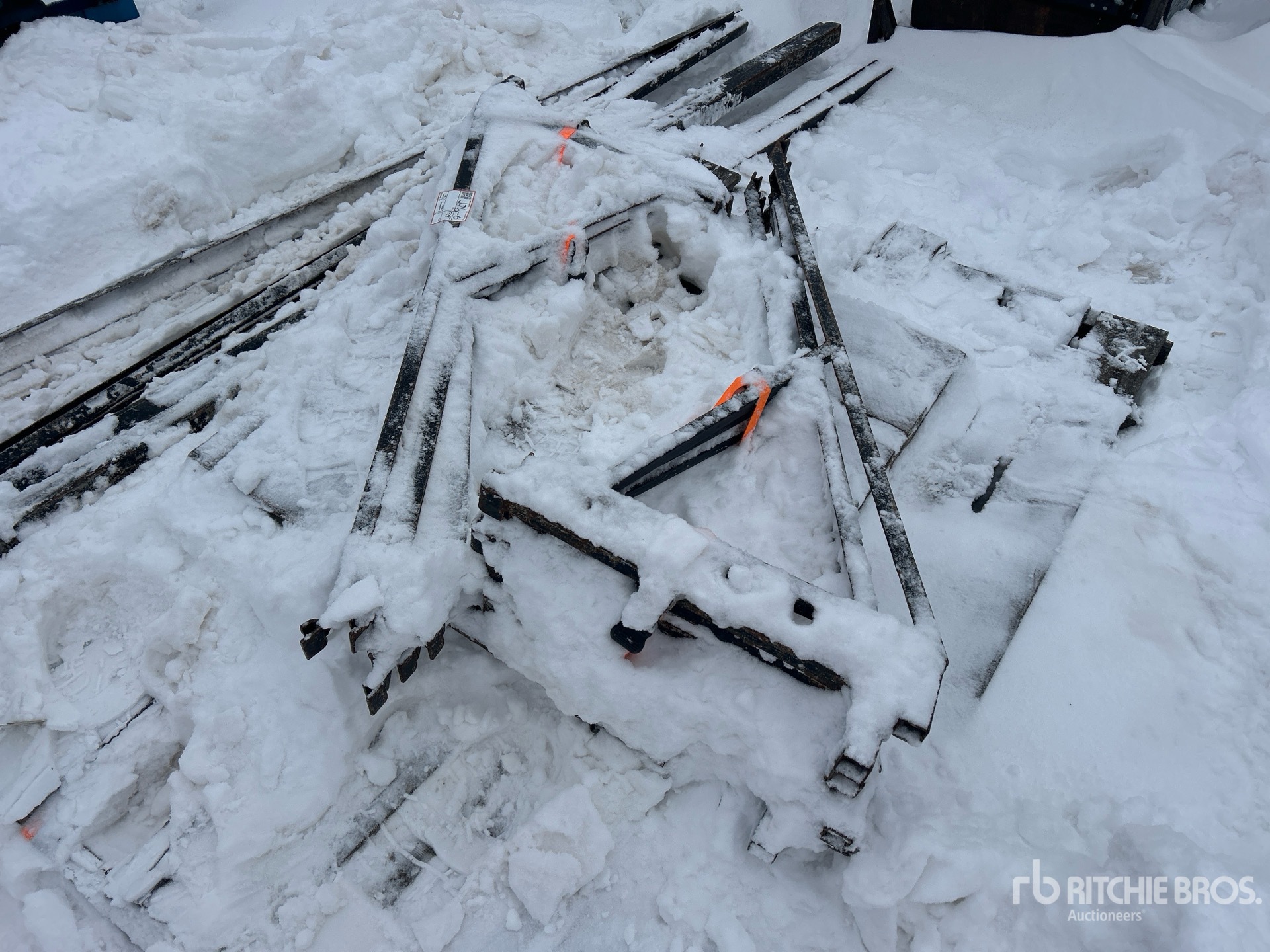 General Appearance with Zdjęcie, lewy dolny róg