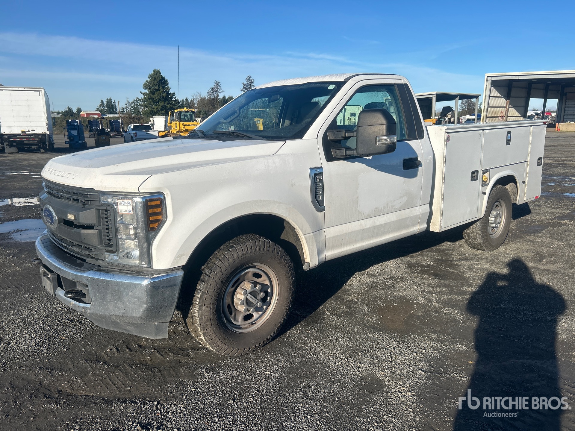 General Appearance with Spin