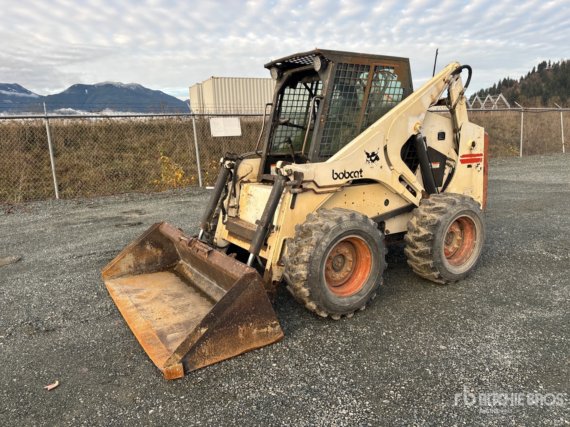 General Appearance with Spin