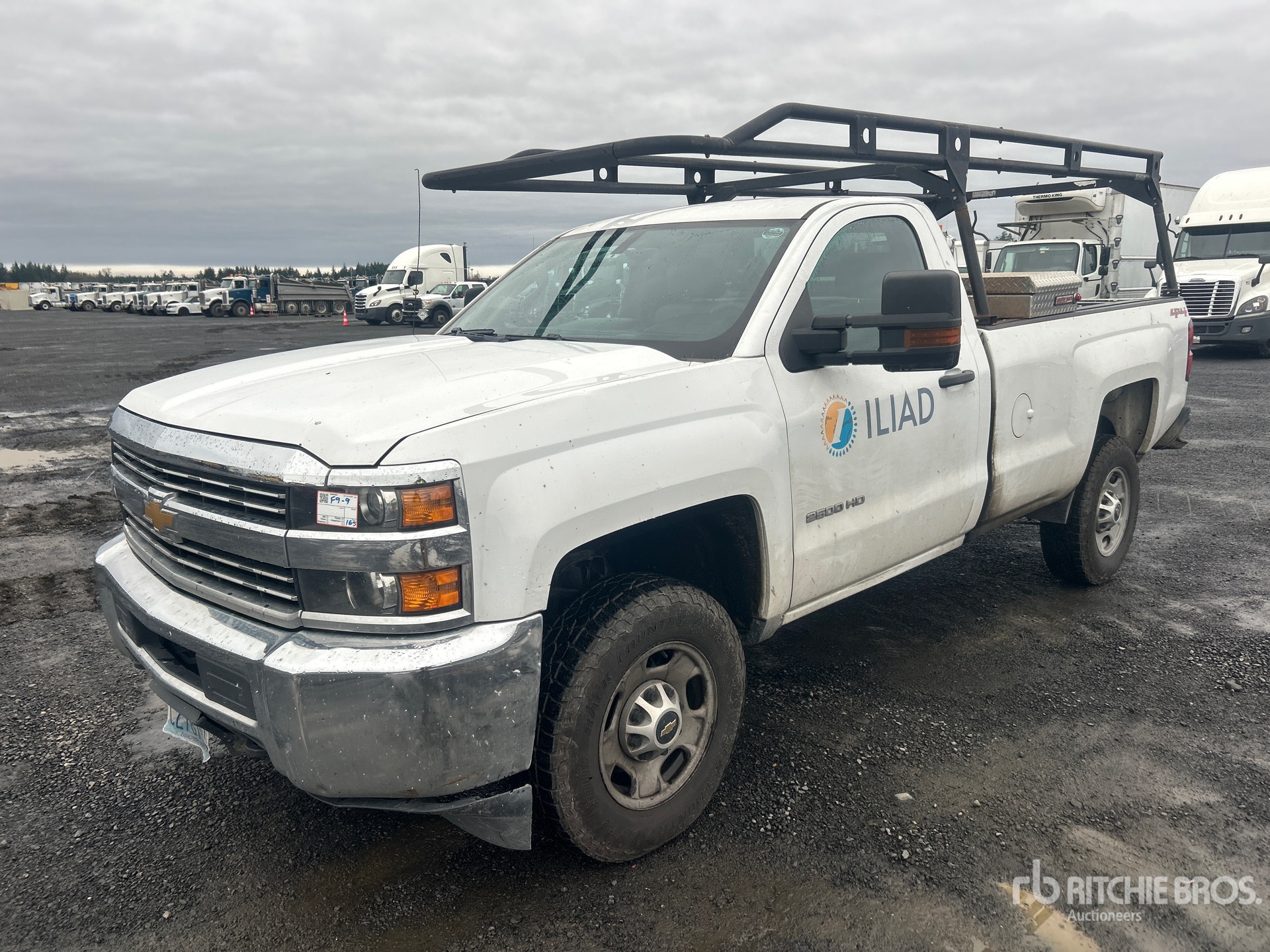 General Appearance with Spin