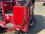 General Appearance with Paint
