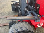 General Appearance with Paint