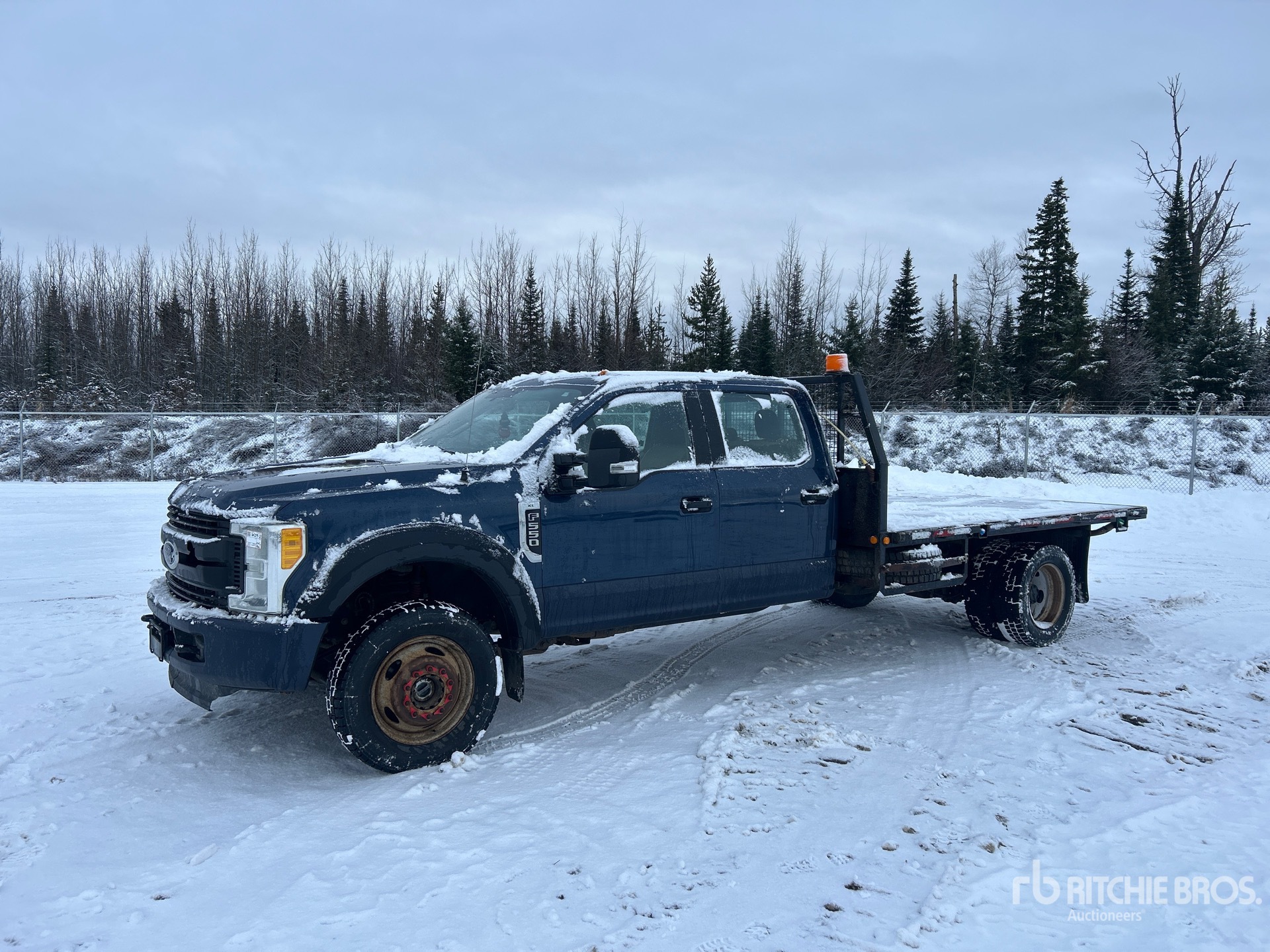 General Appearance with Spin