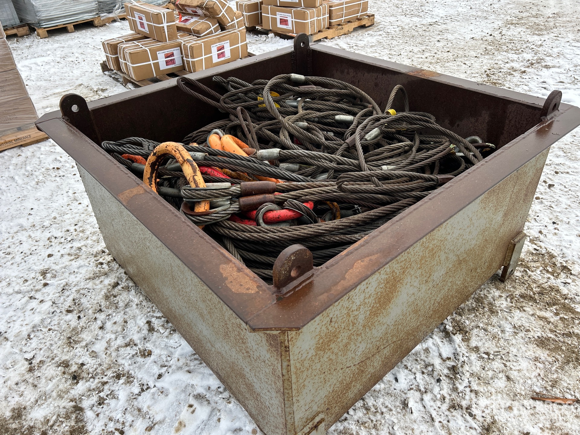 General Appearance with Zdjęcie, prawy dolny róg