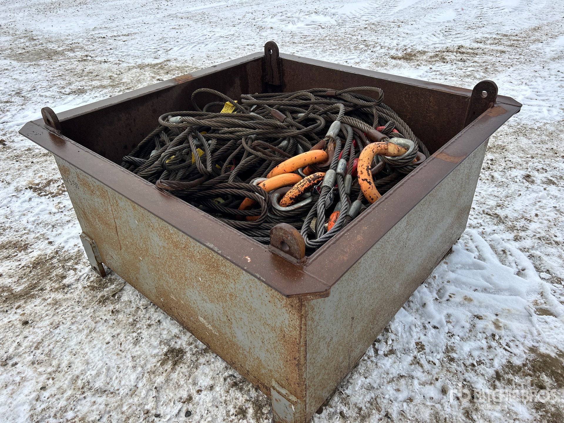 General Appearance with Zdjęcie, lewy dolny róg