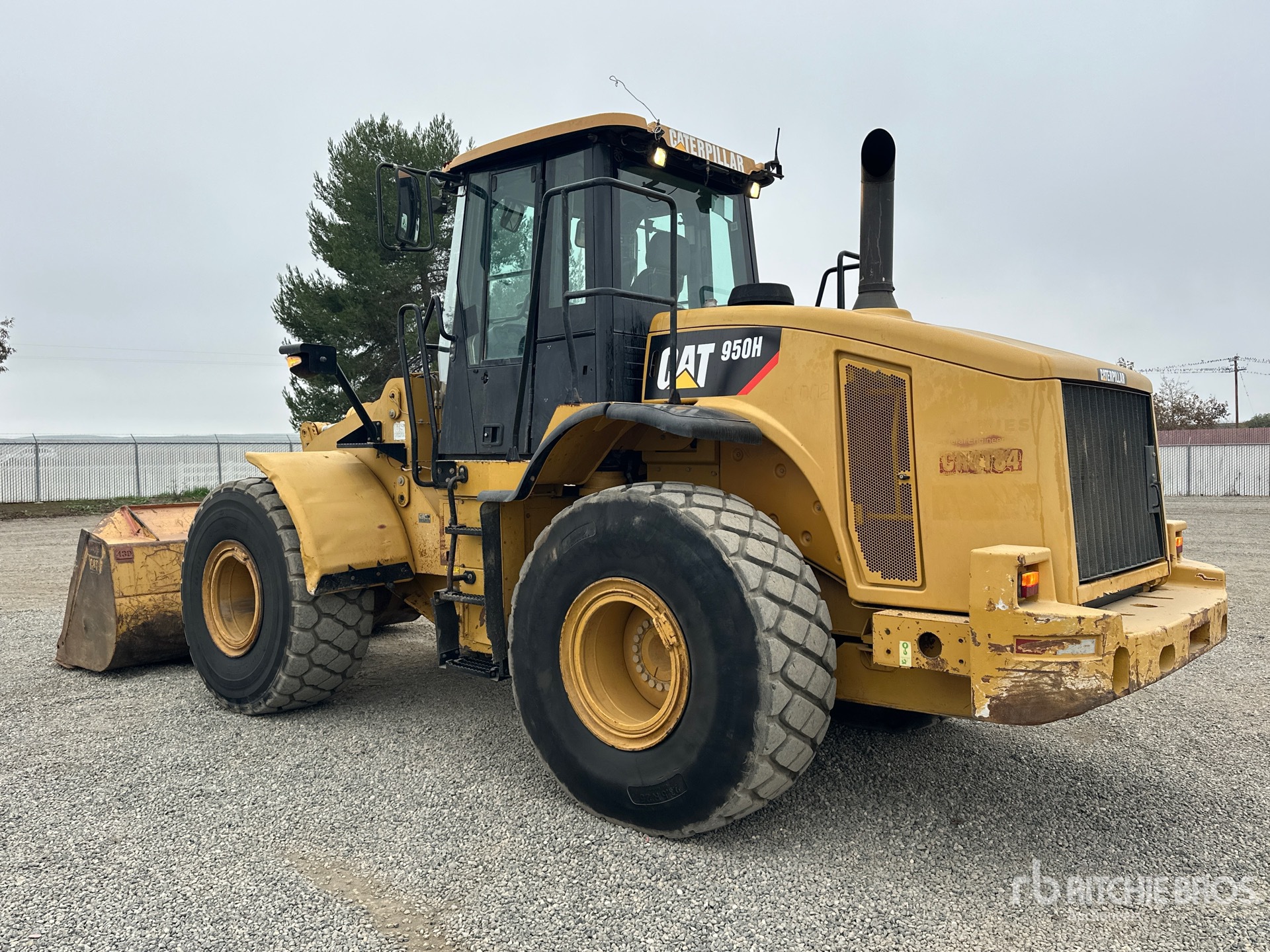 General Appearance with Zdjęcie, lewy dolny róg