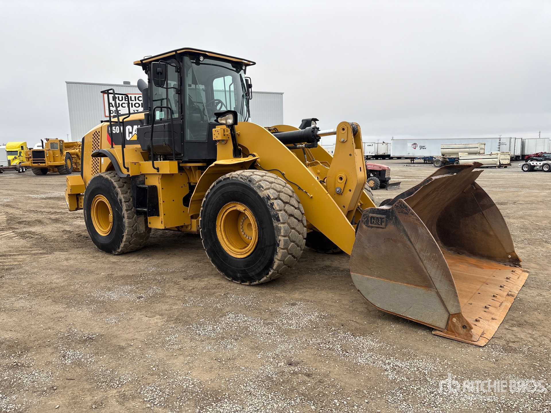 General Appearance with Zdjęcie, prawy górny róg