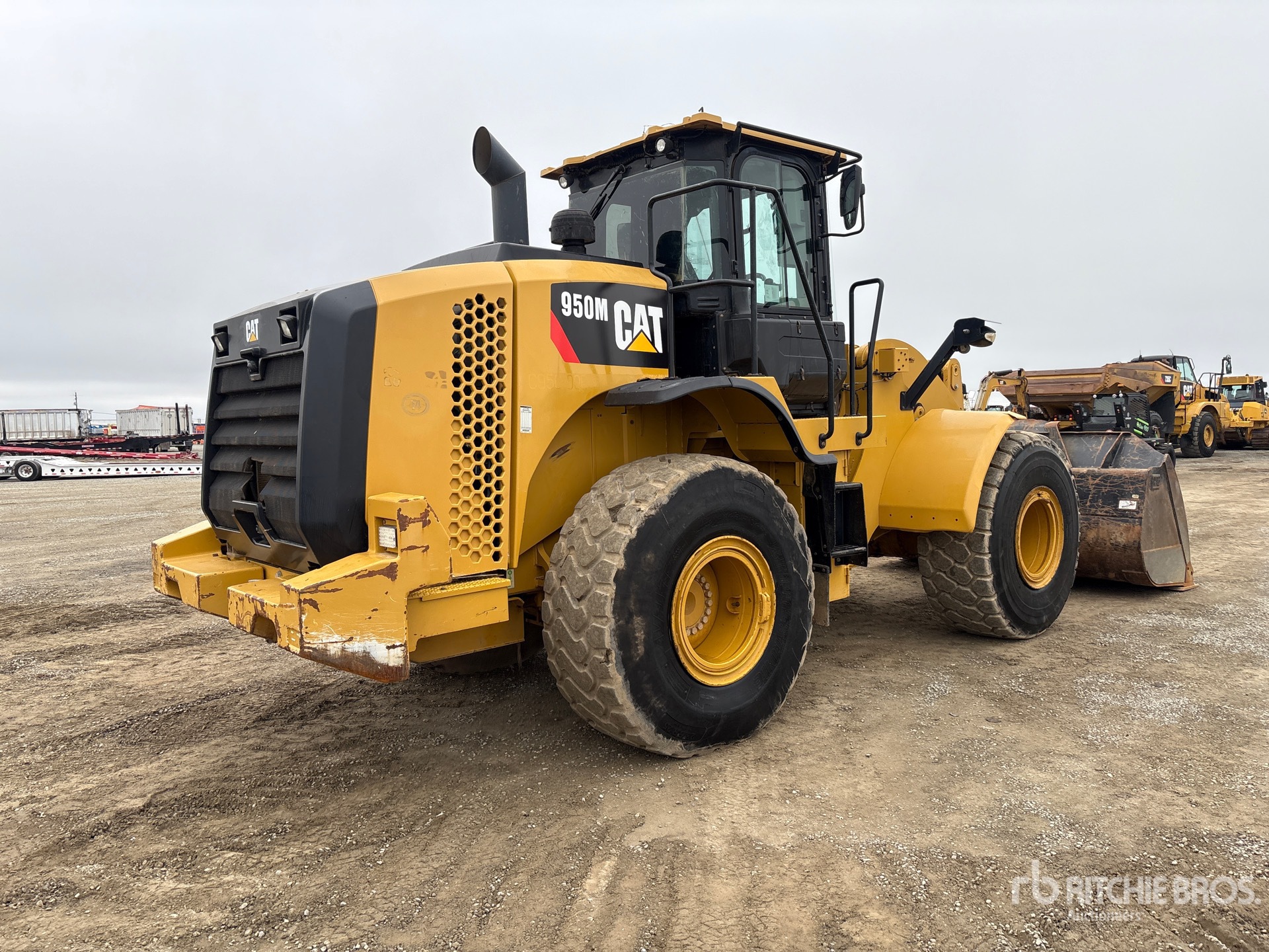 General Appearance with Zdjęcie, prawy dolny róg