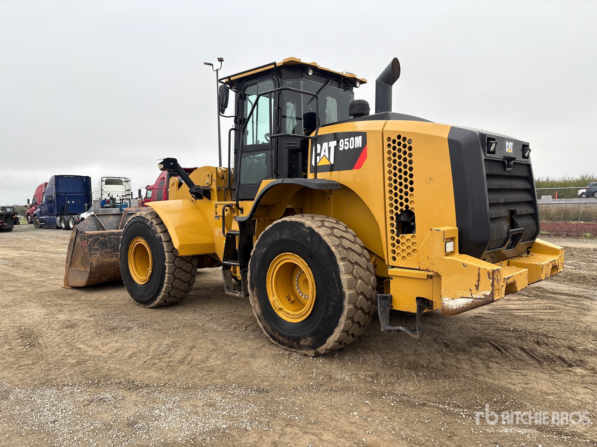 General Appearance with Zdjęcie, lewy dolny róg
