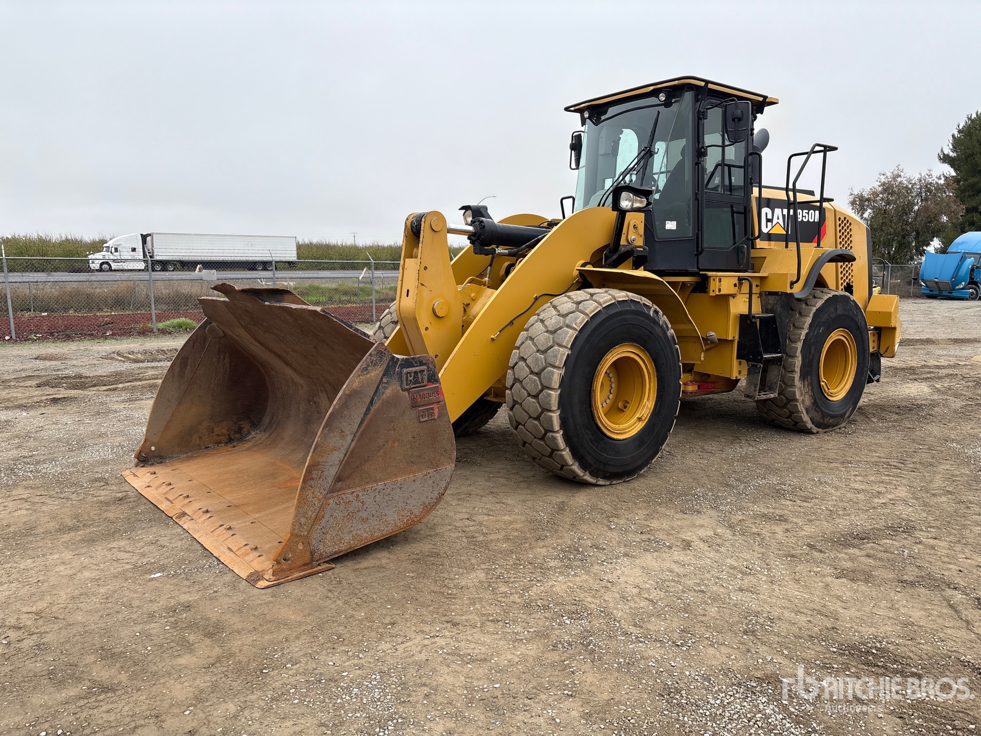 General Appearance with Zdjęcie, lewy górny róg