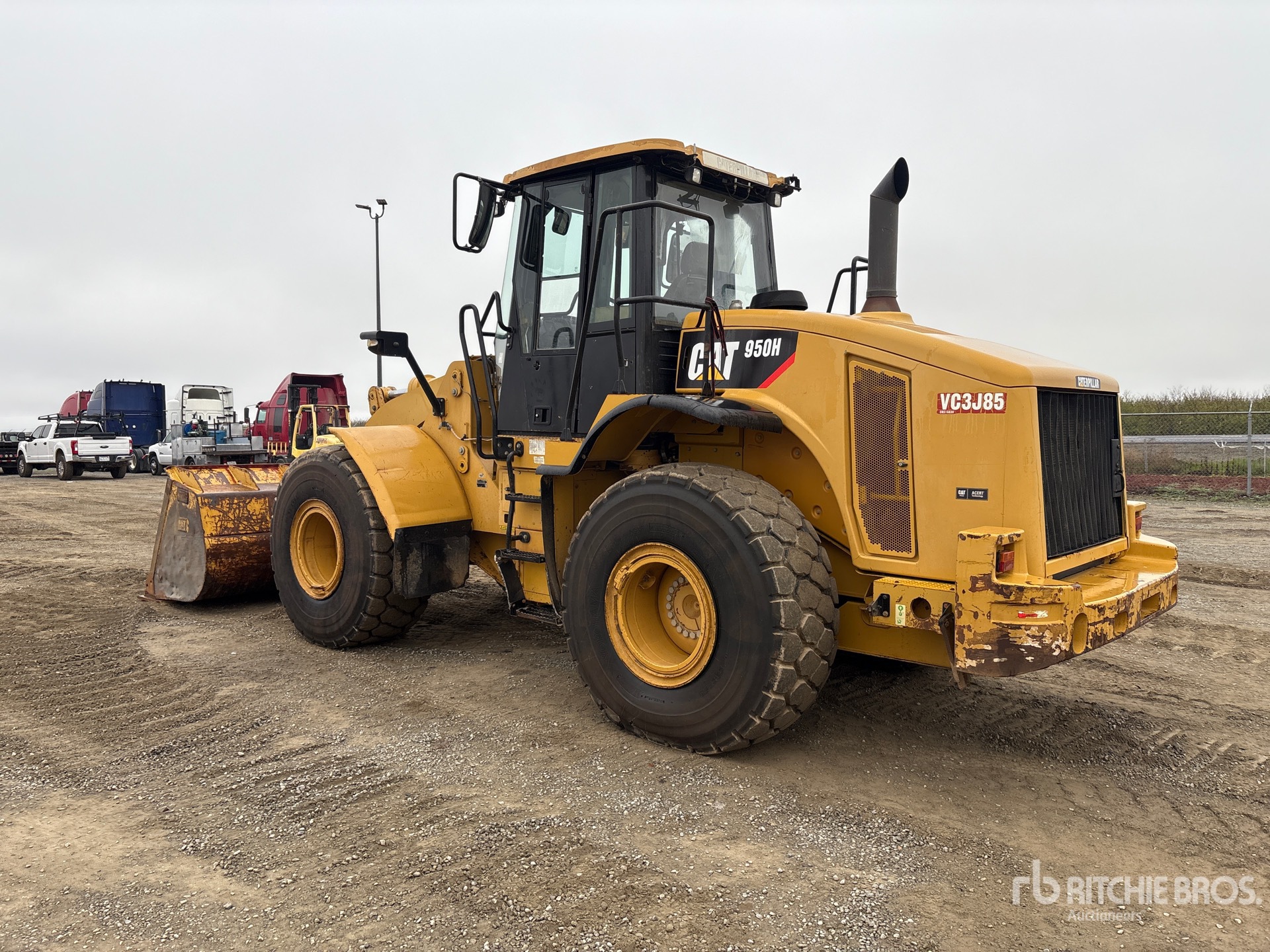 General Appearance with Zdjęcie, lewy dolny róg