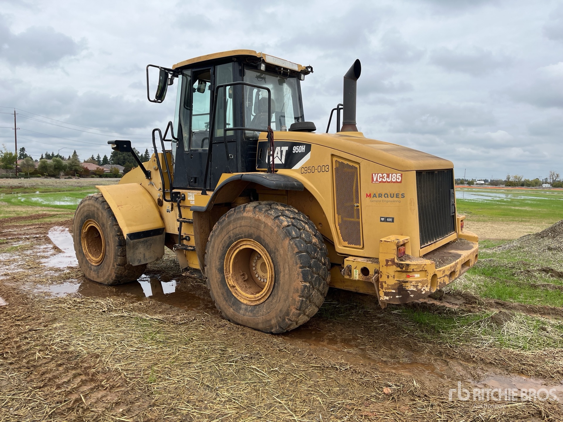 General Appearance with 